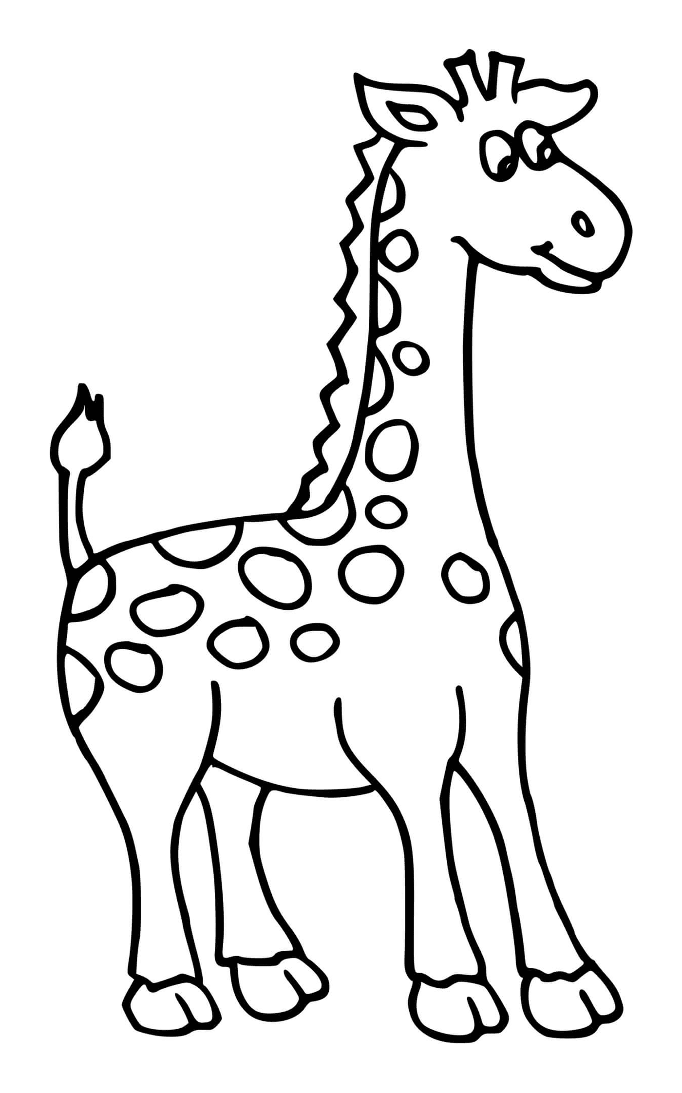 pequena girafa 
