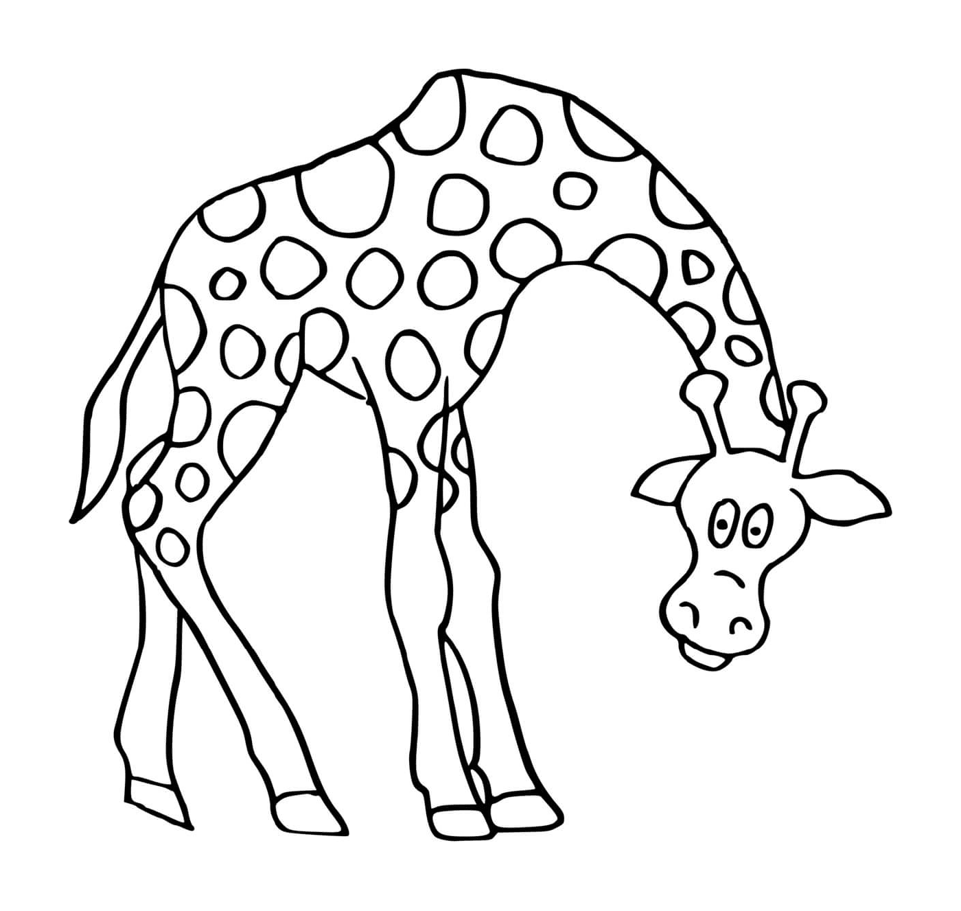  Girafe 让你低头的Girafe 