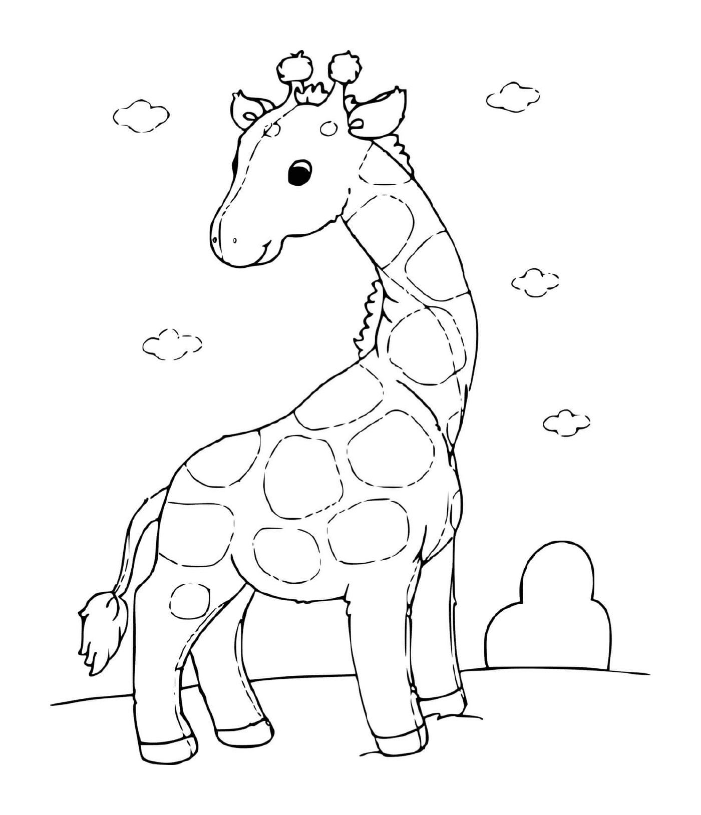  Uma girafa adorável 