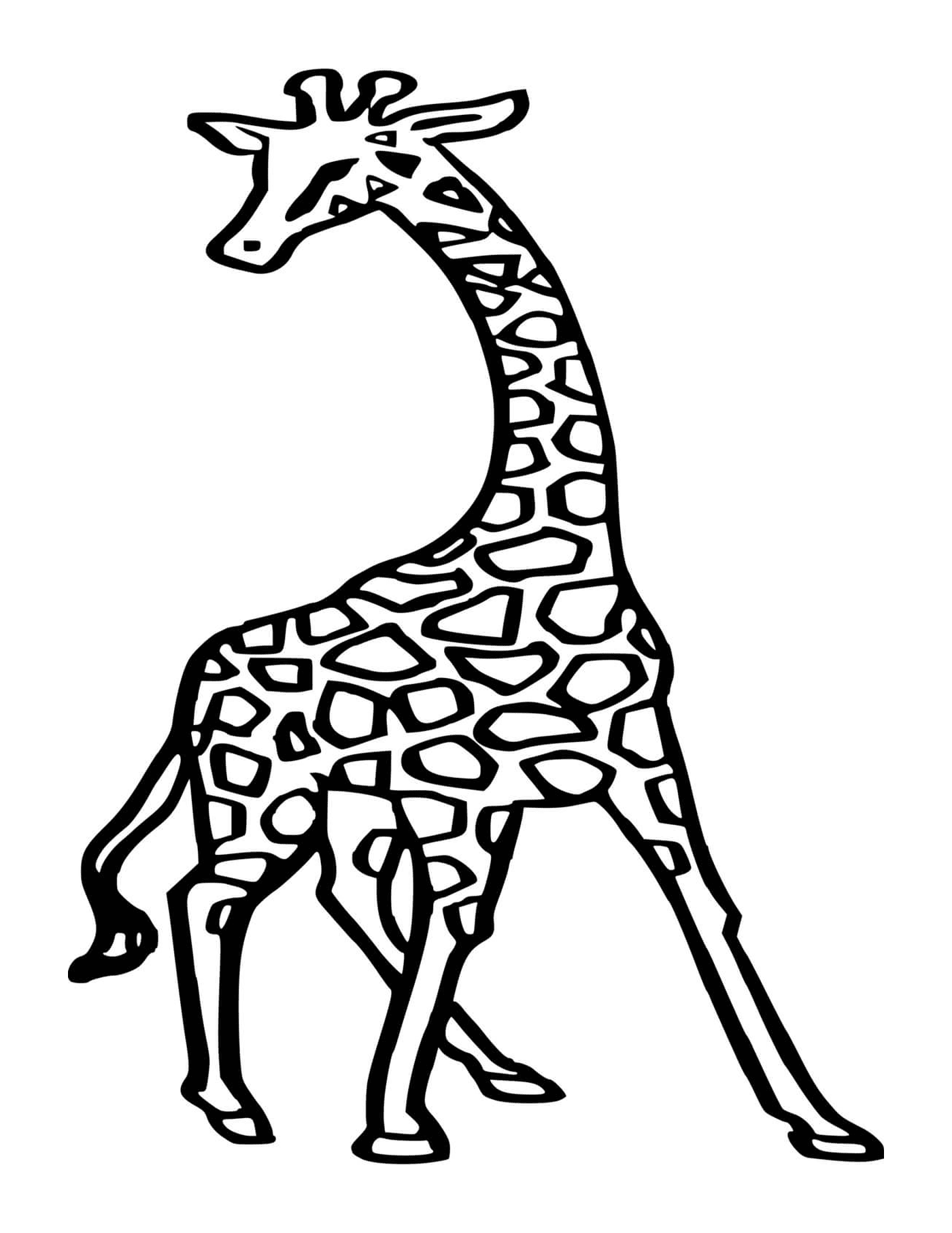  Uma girafa linda 