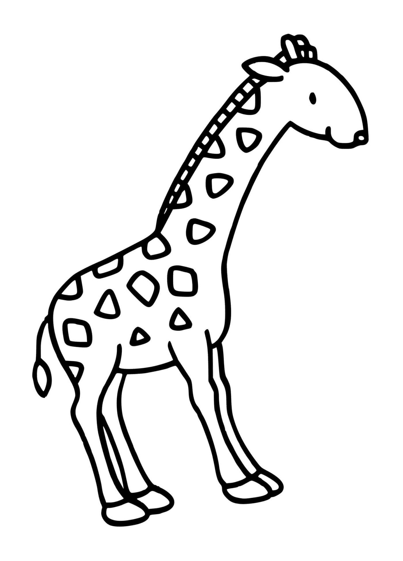  A majestosa girafa 