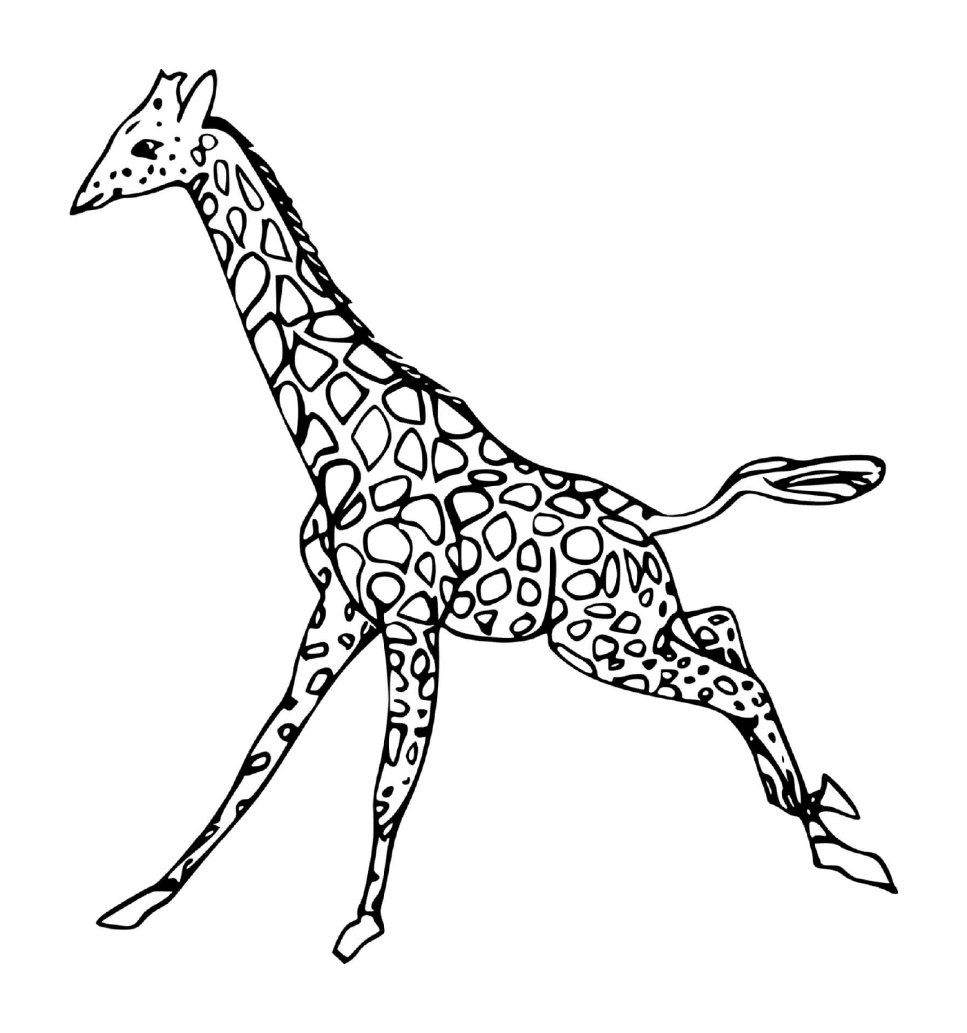 Girafe correndo 