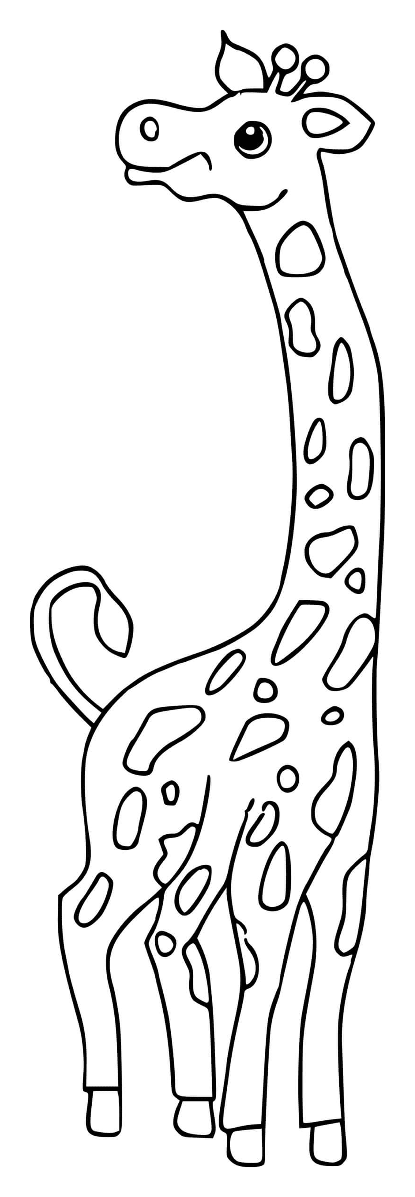  Girafe com manchas para colorir 