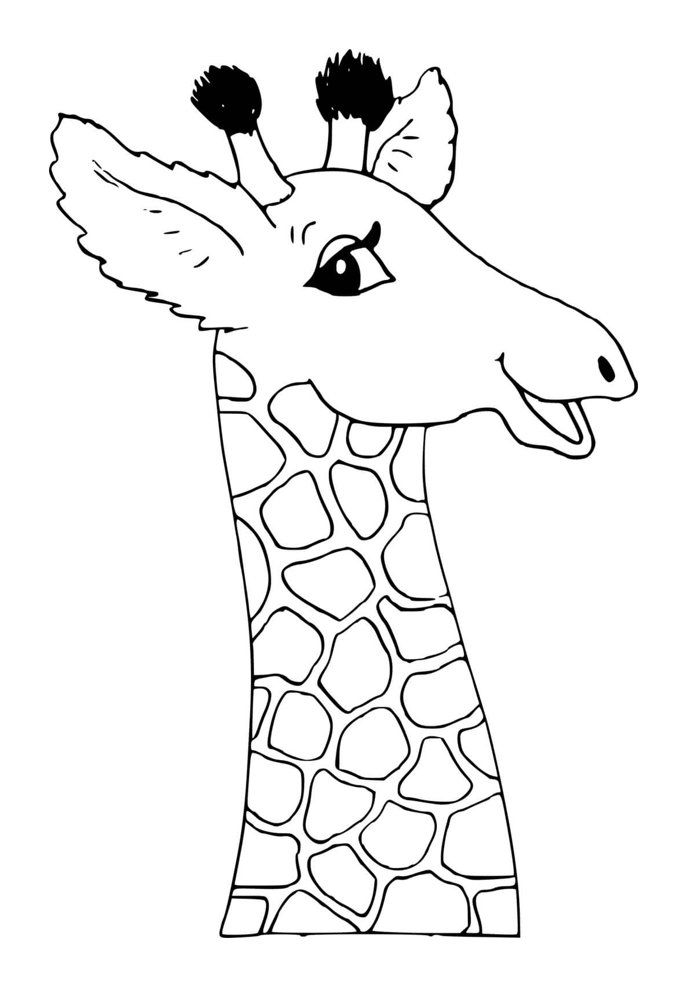  Pescoço e cabeça de uma girafa 
