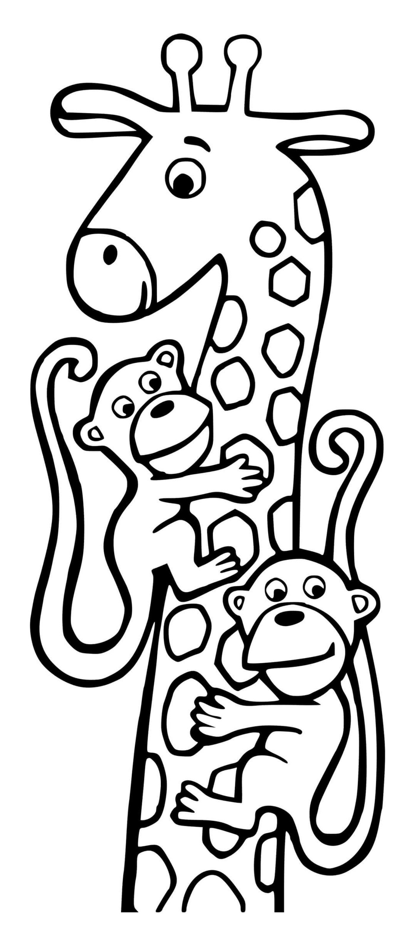  Girafe e dois macacos 