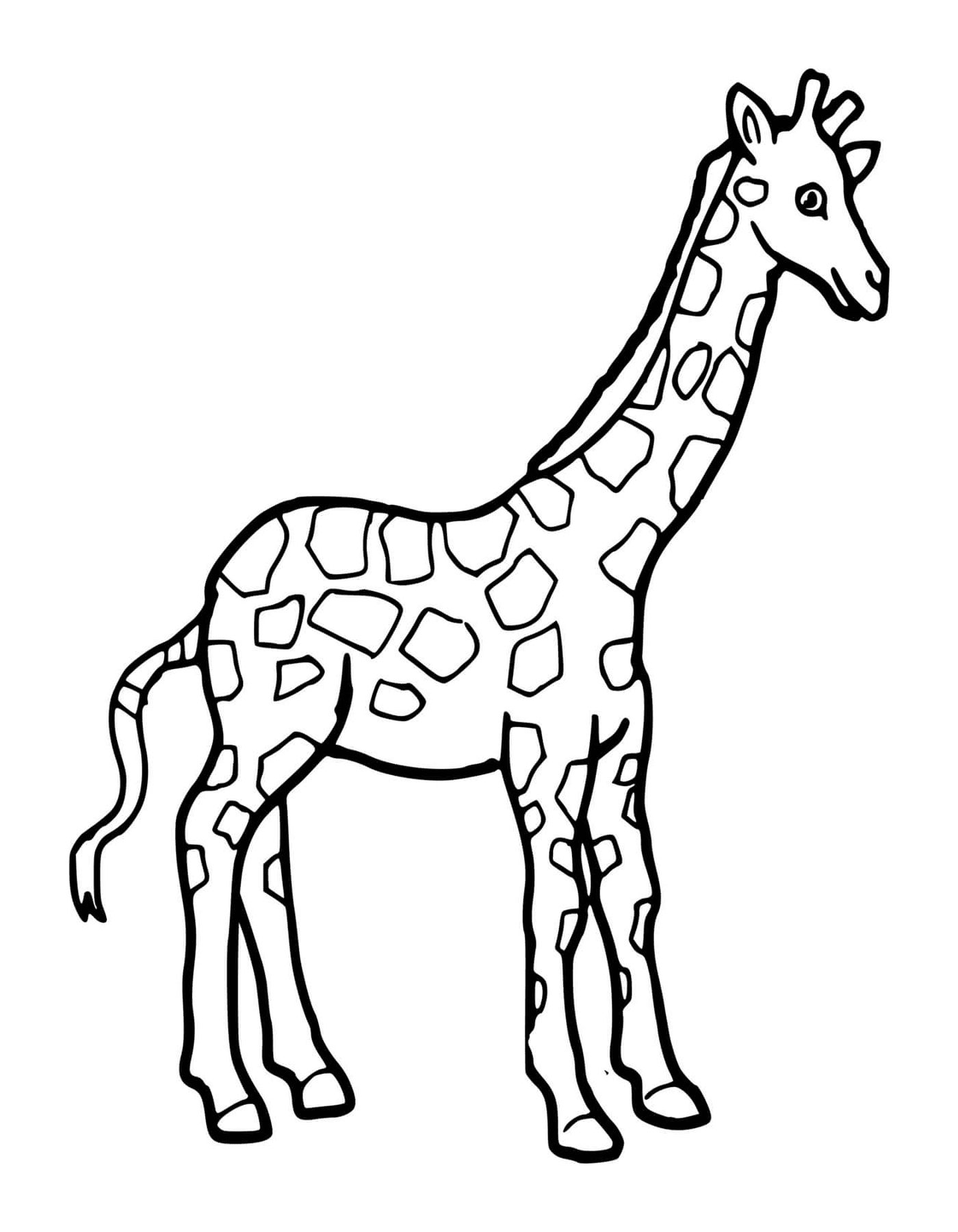 Uma girafa de coloração 