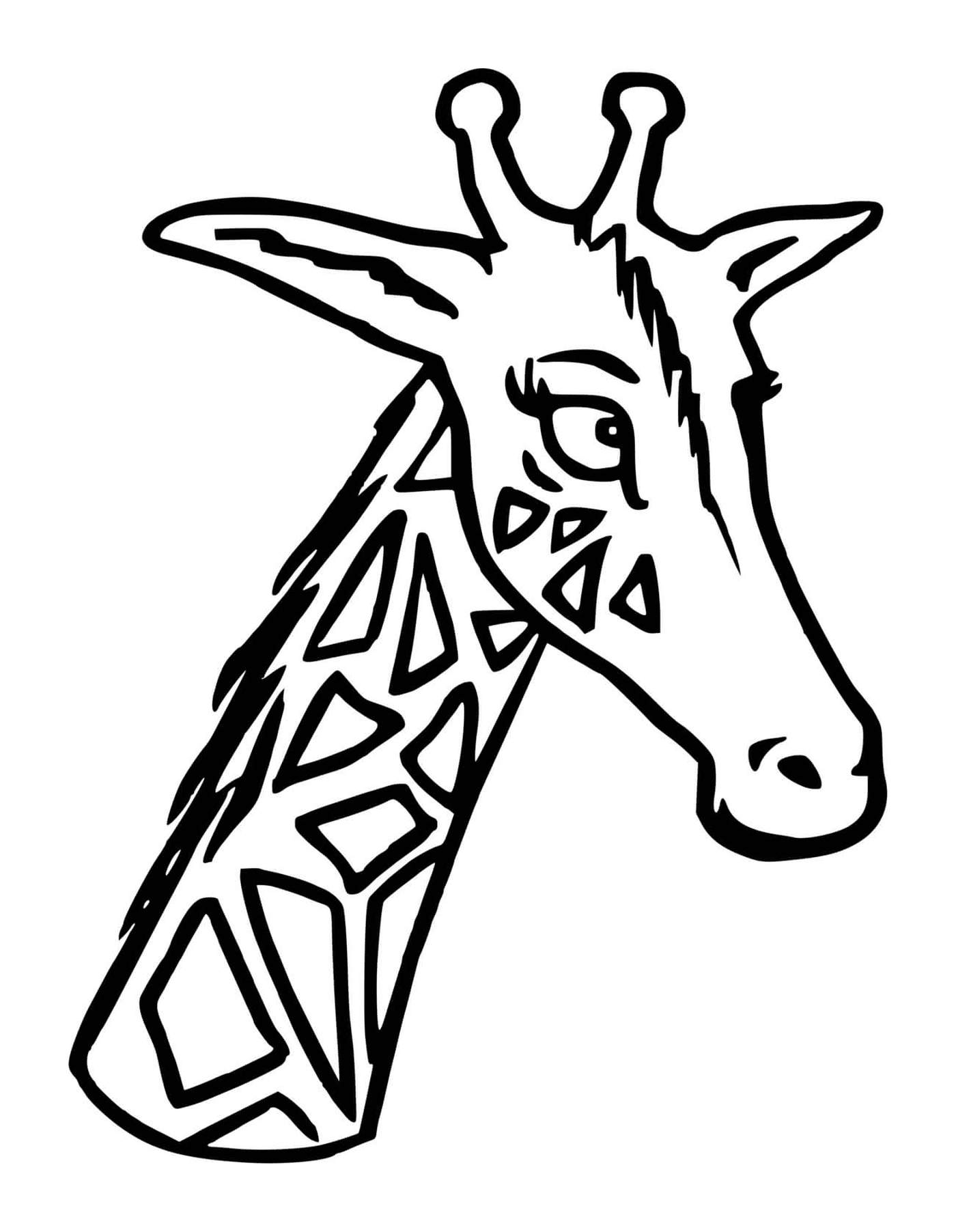  Uma girafa com sua cabeça e pescoço longos 