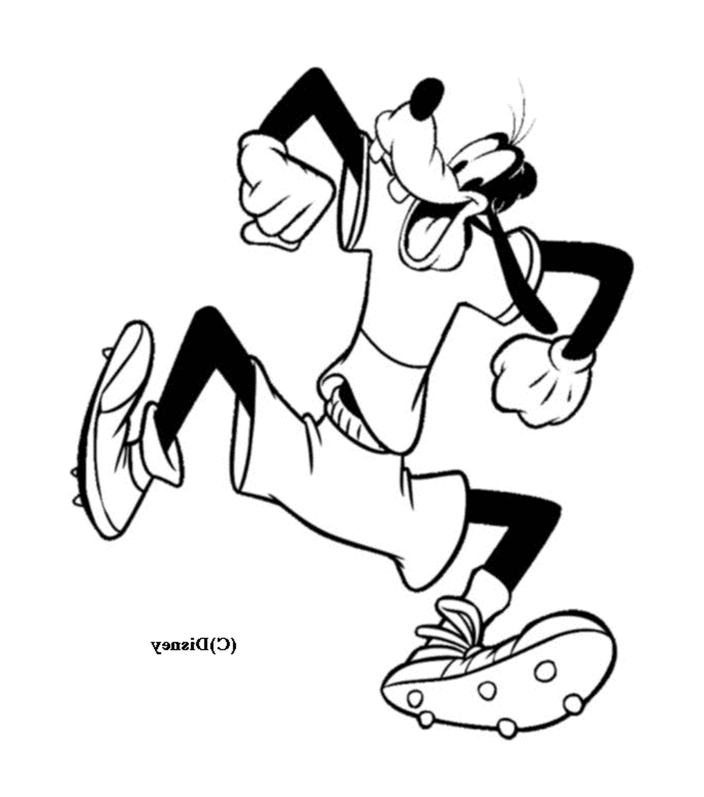  Dingo corre vestindo shorts 