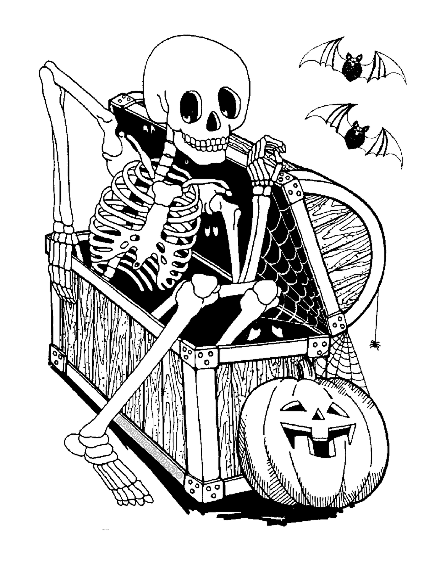  esqueleto adulto assustador 