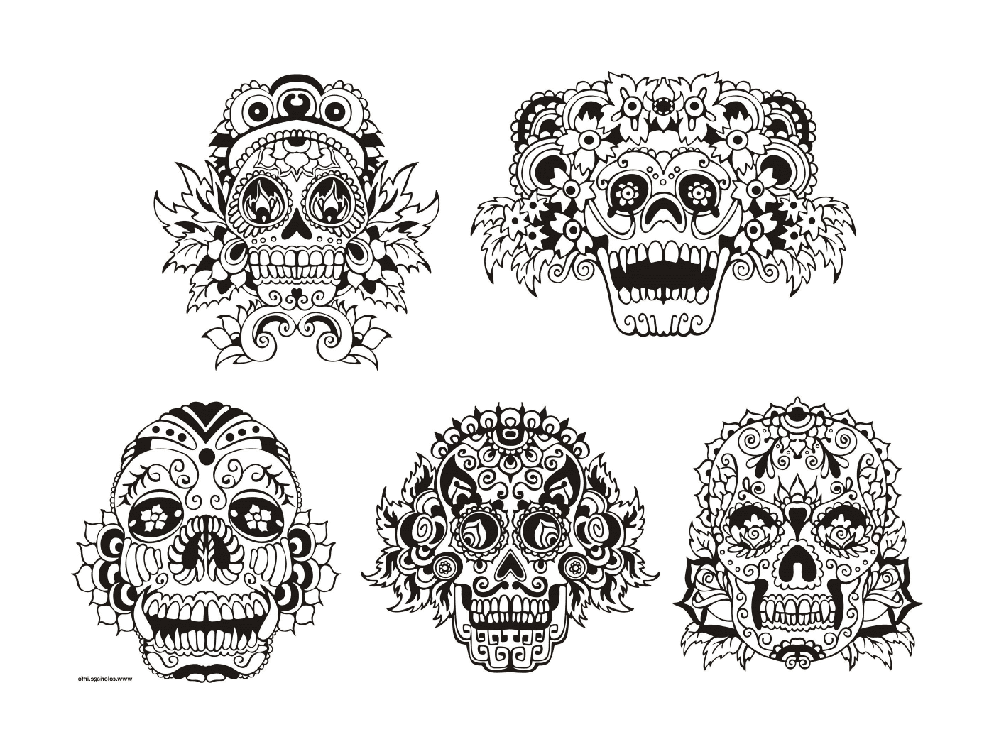  conjunto de seis desenhos de crânio preto e branco 