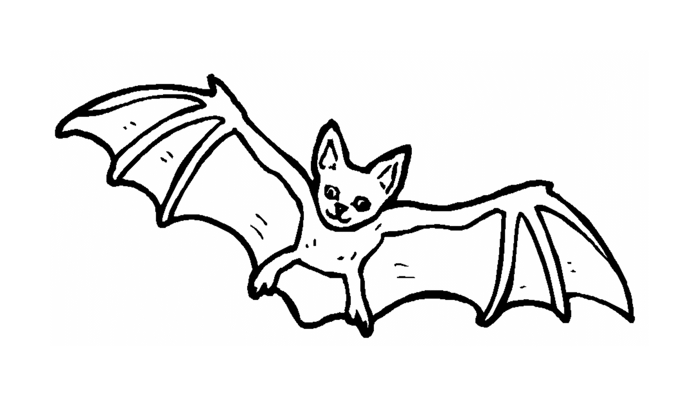 morcego voador 