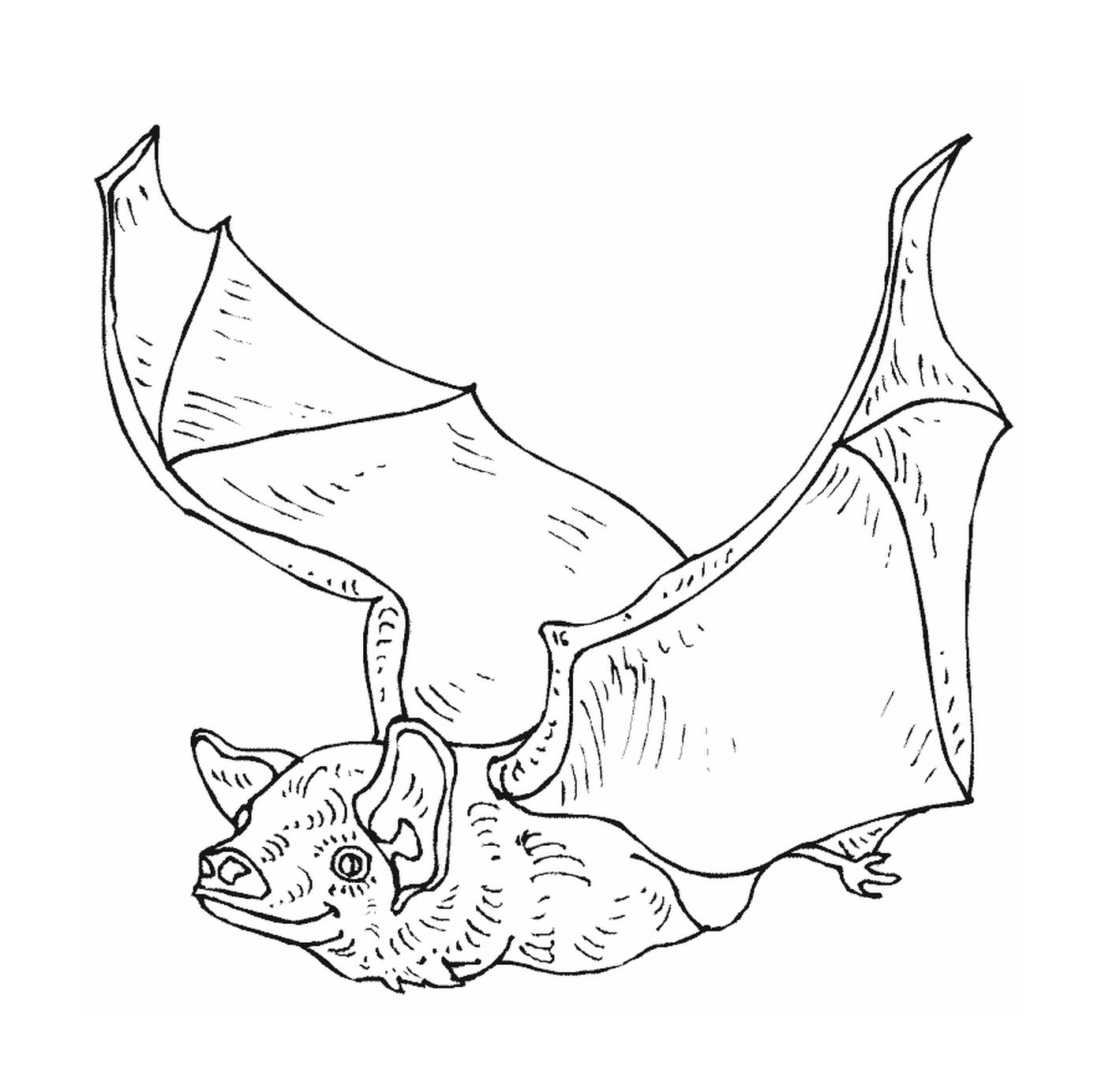  morcego em voo com asas implantadas 