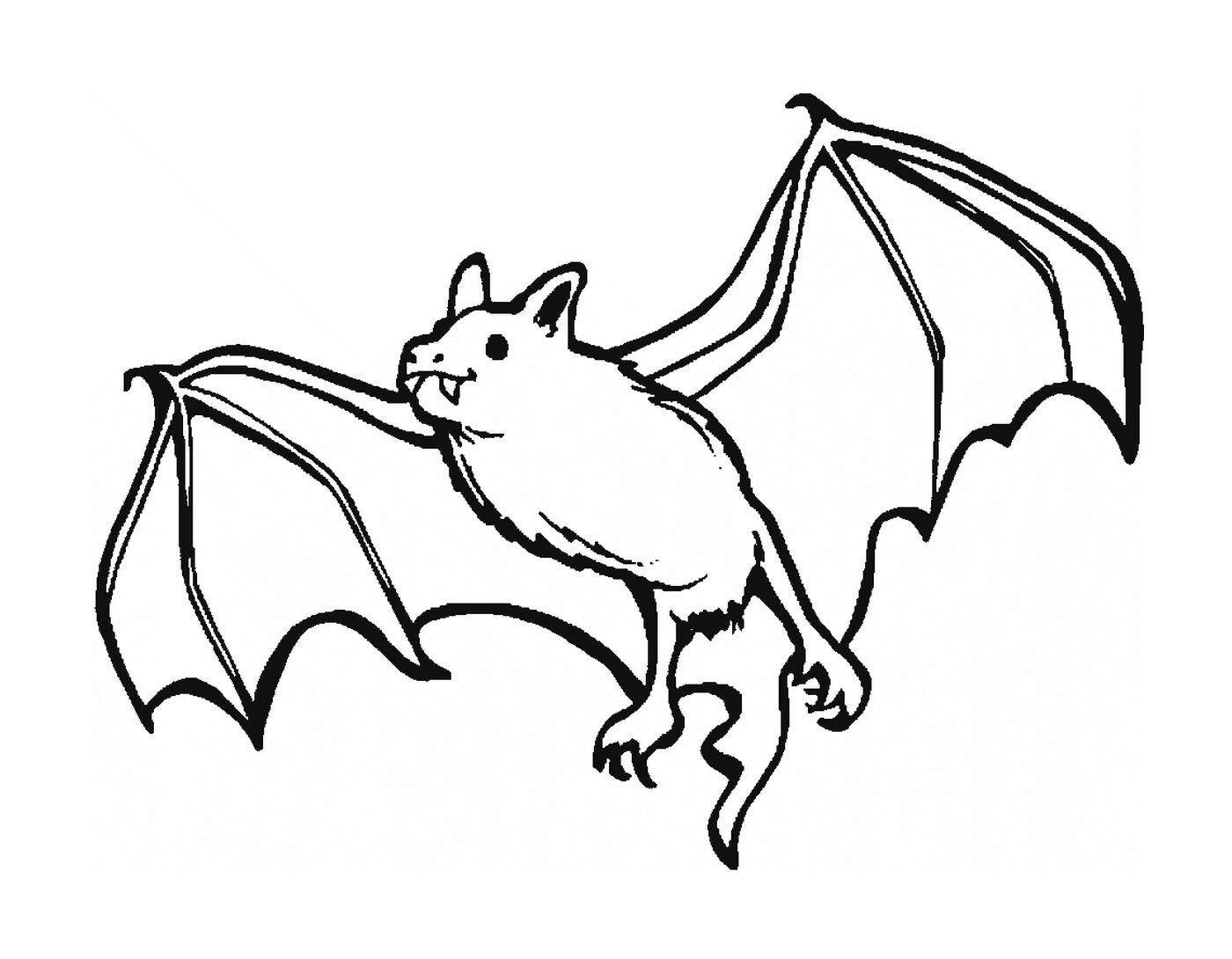  morcego vampiro vampiro 