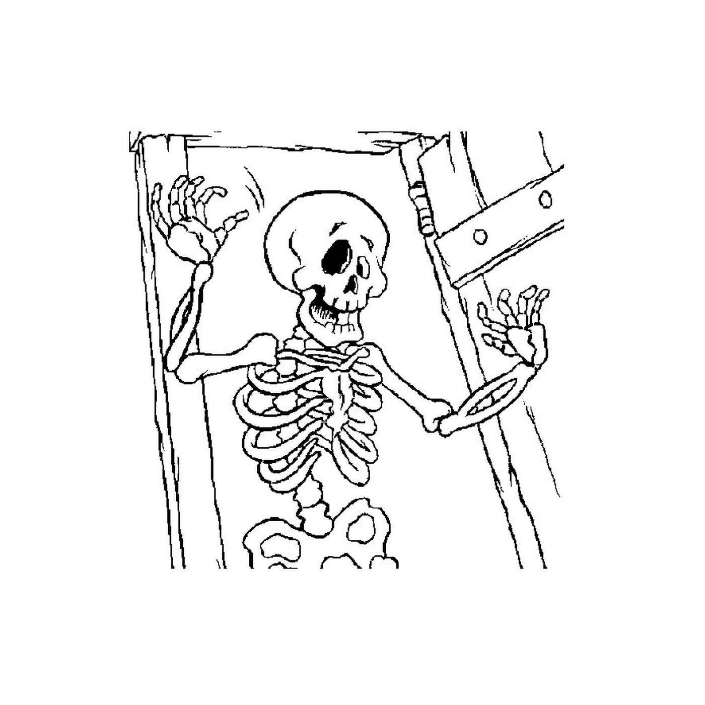  Esqueleto em um quarto escuro 