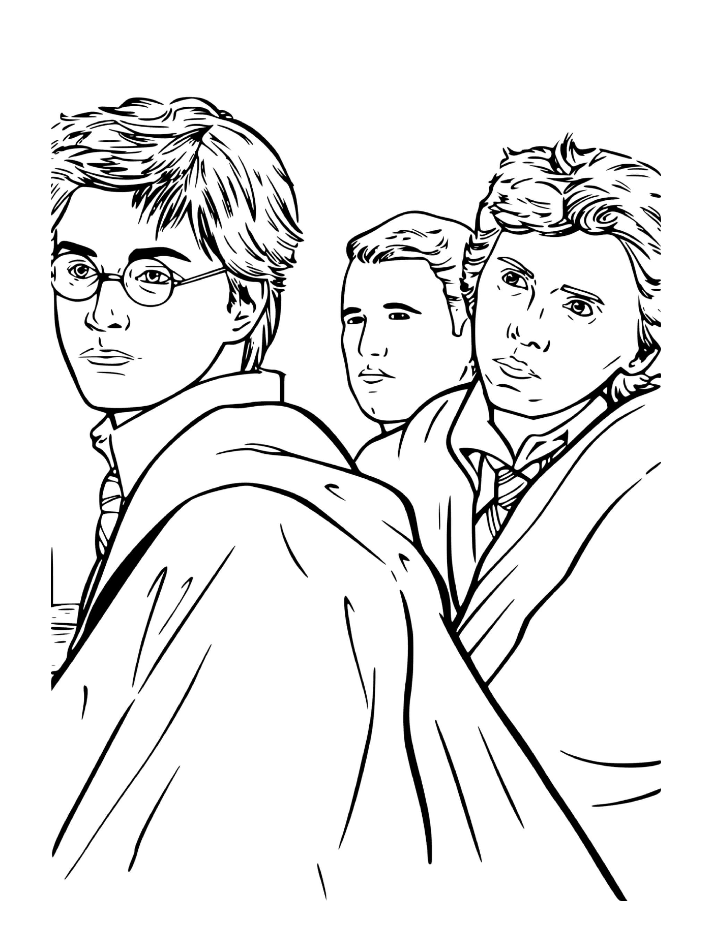  Harry Potter e amigos juntos 