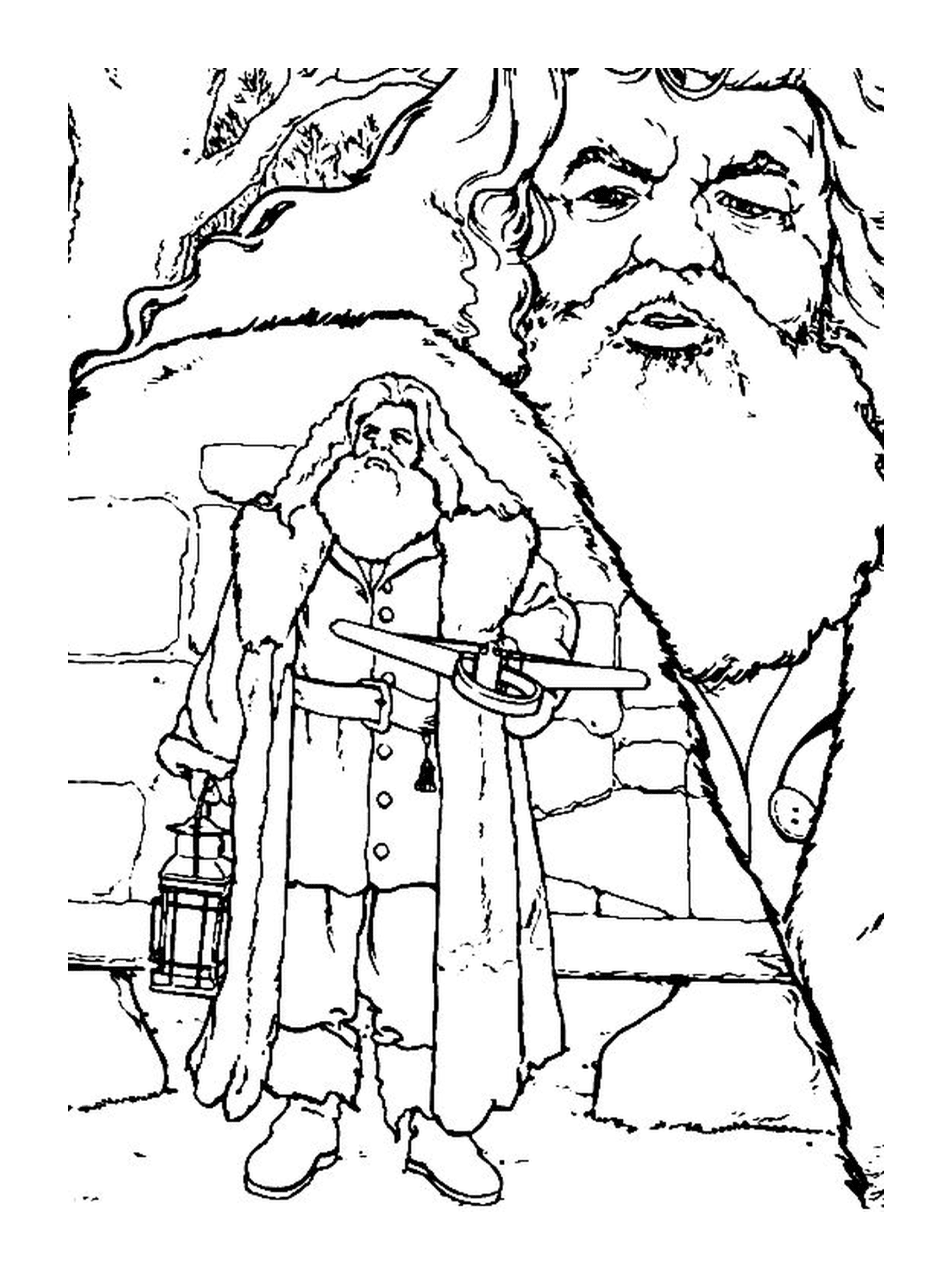  Rubeus Hagrid, barba grande 