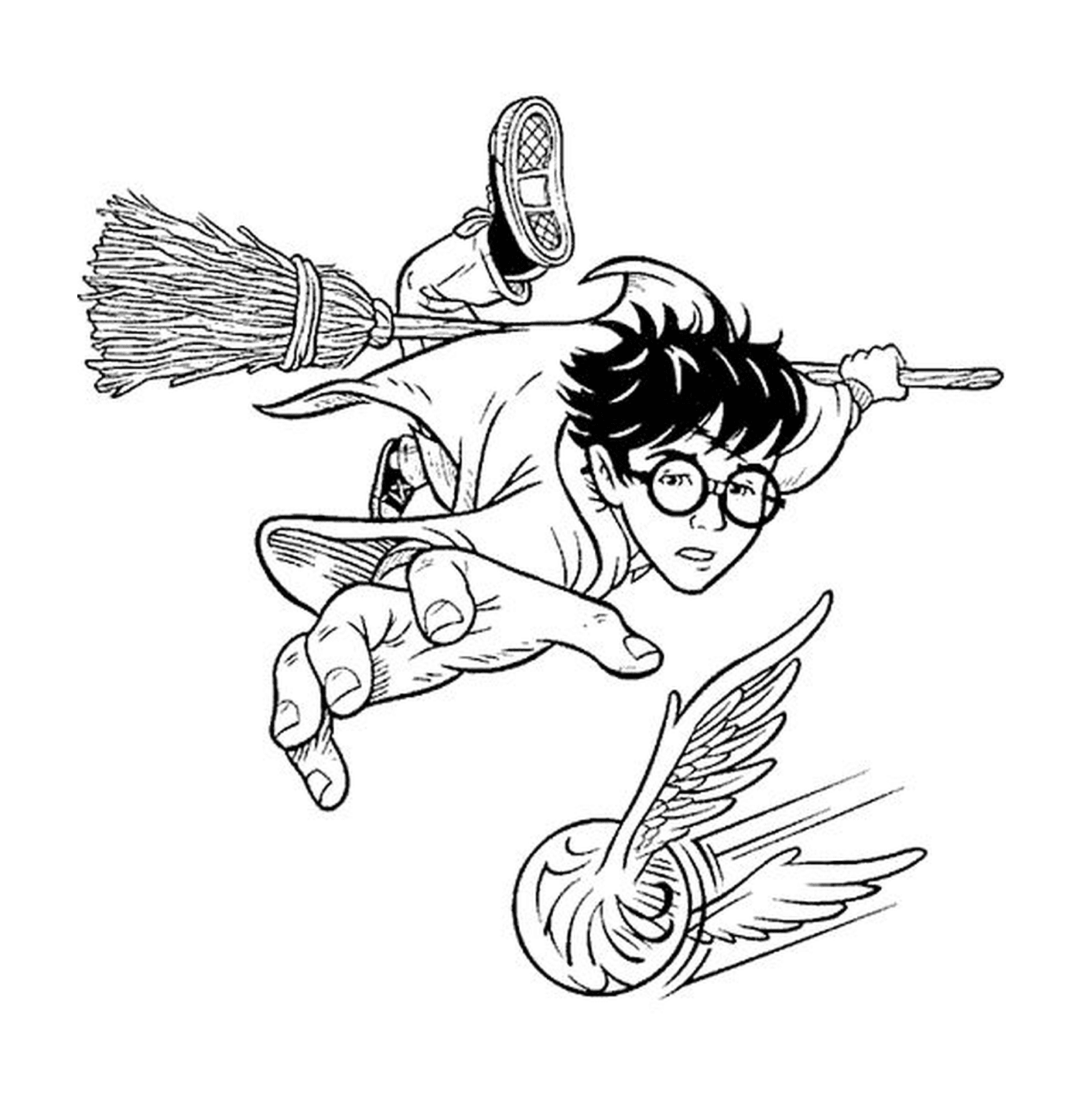  Quadribol Harry, voo de vassoura 