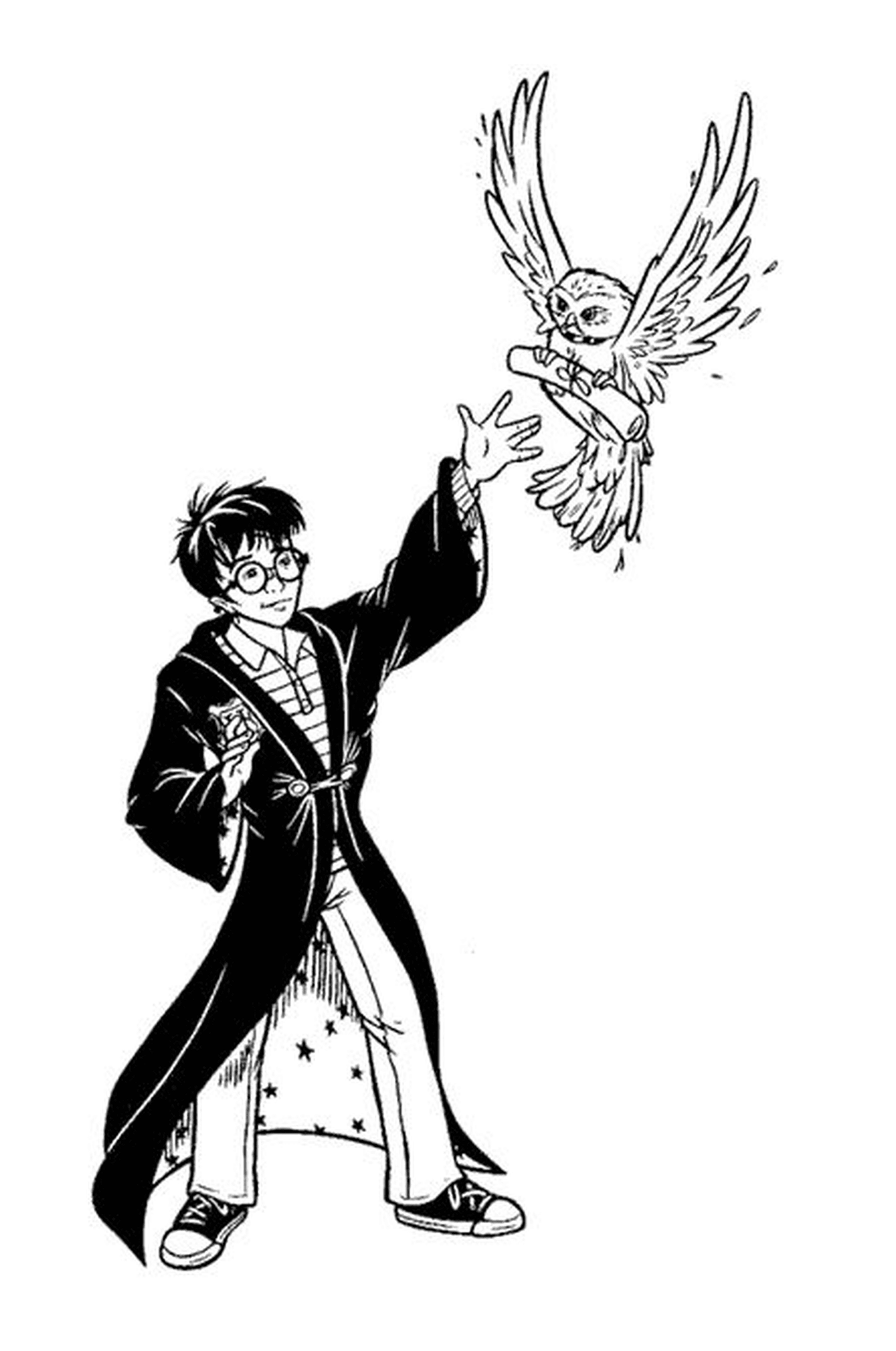  Harry Potter com Hedwige 