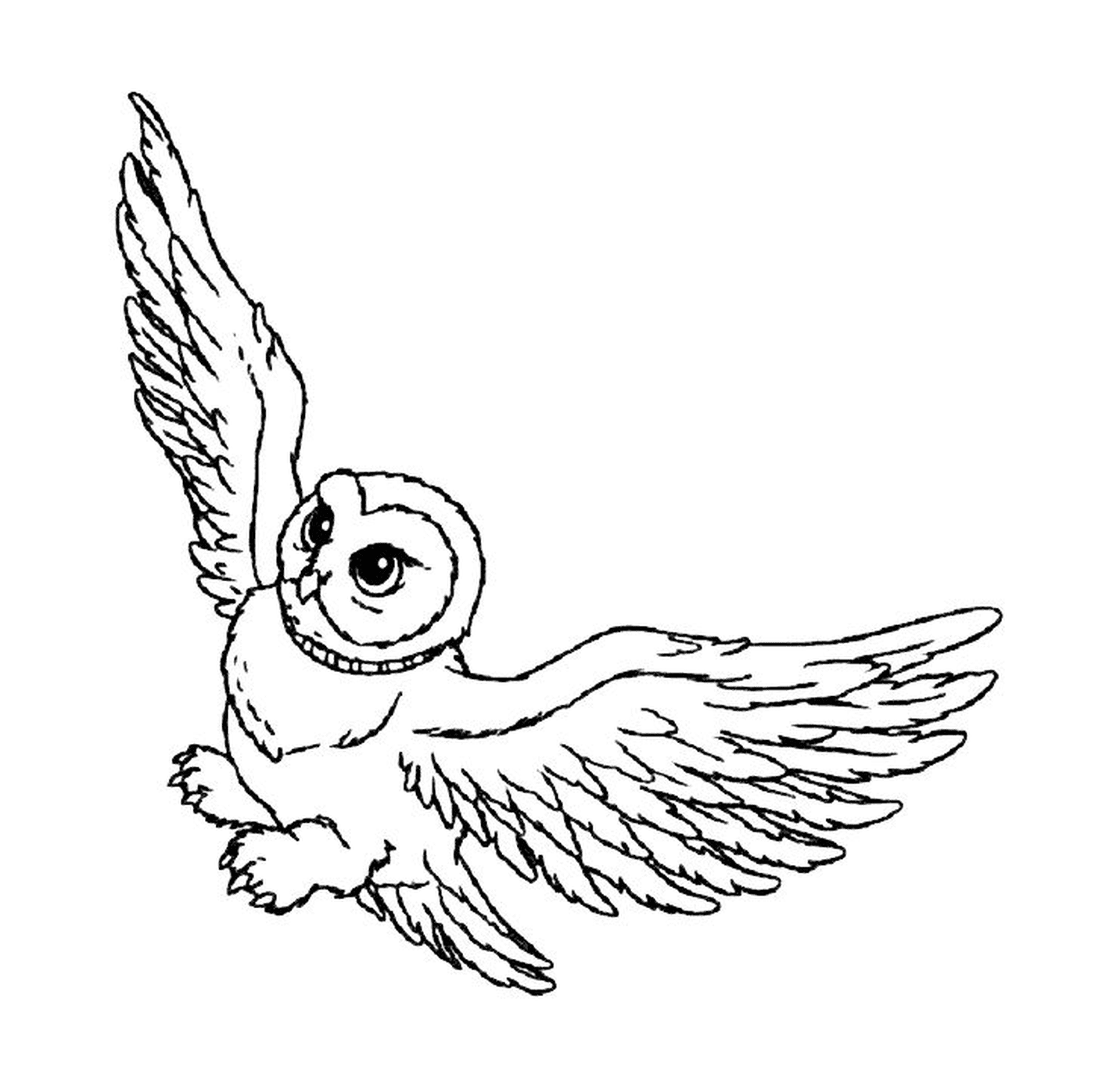  Hedwige voa no céu 
