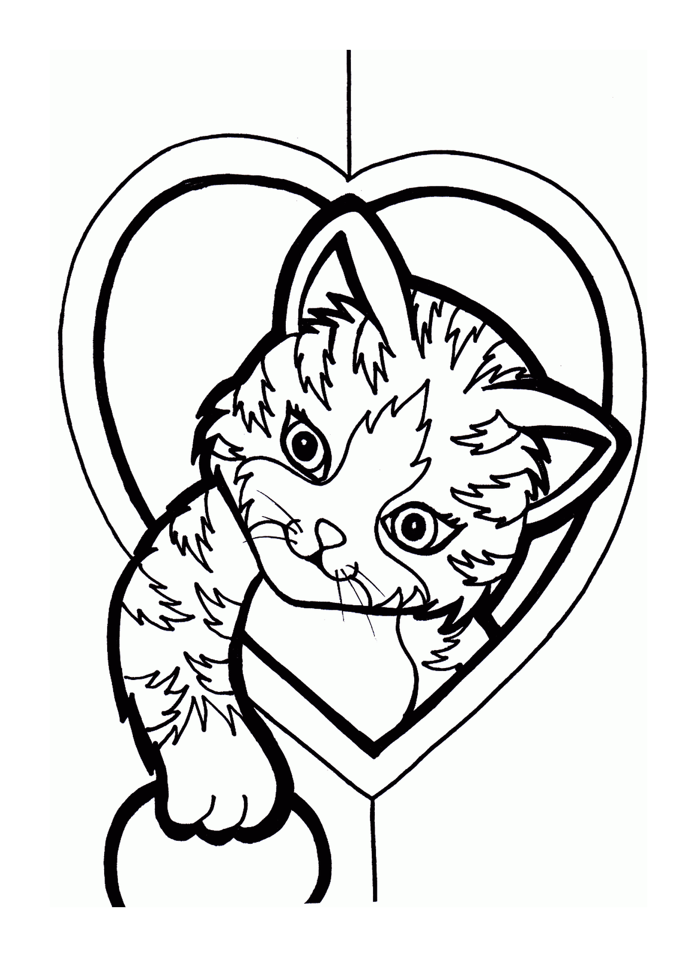  Um gato em um coração 