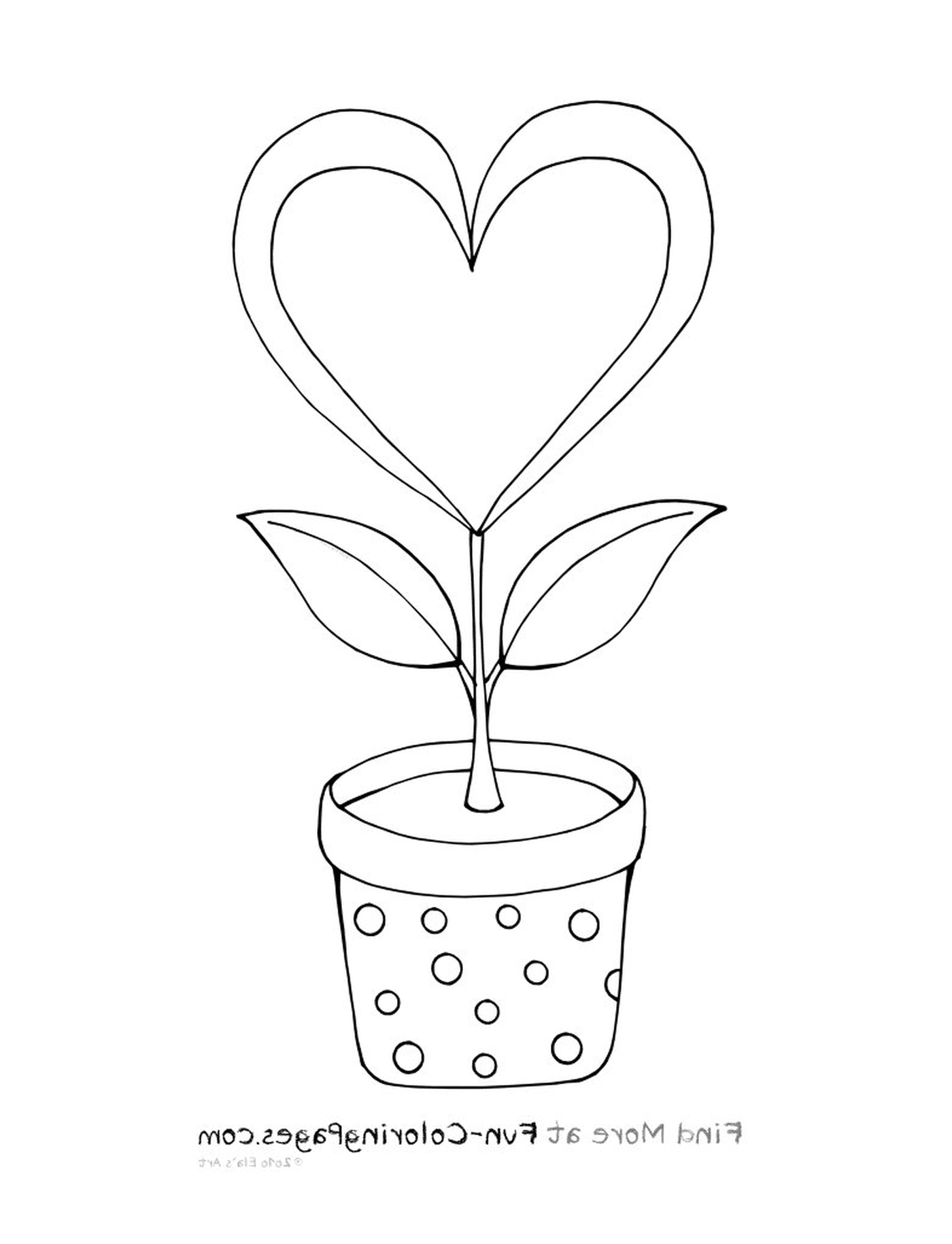  Uma planta em um pote 