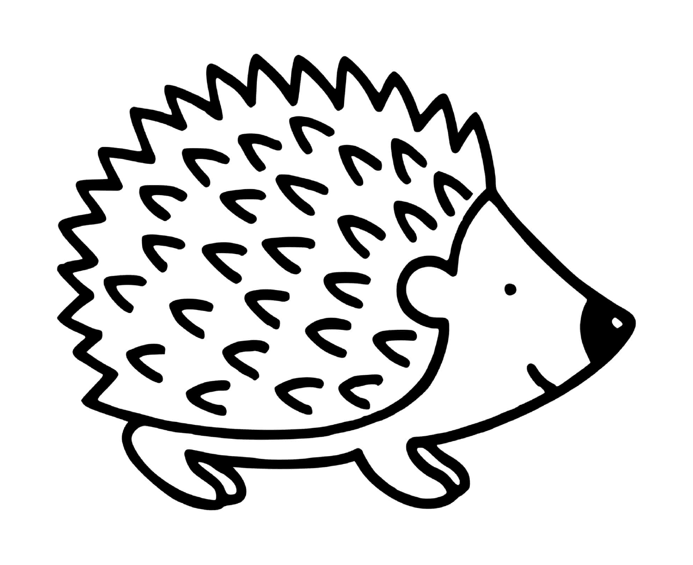  Pequeno porco-espinho ouriço 
