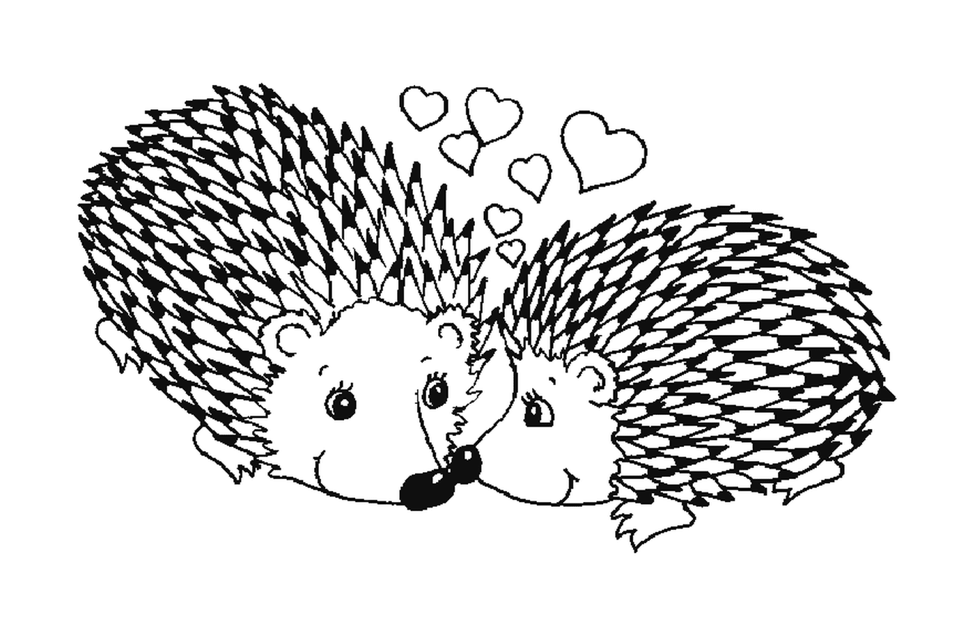  Dois ouriços apaixonados 