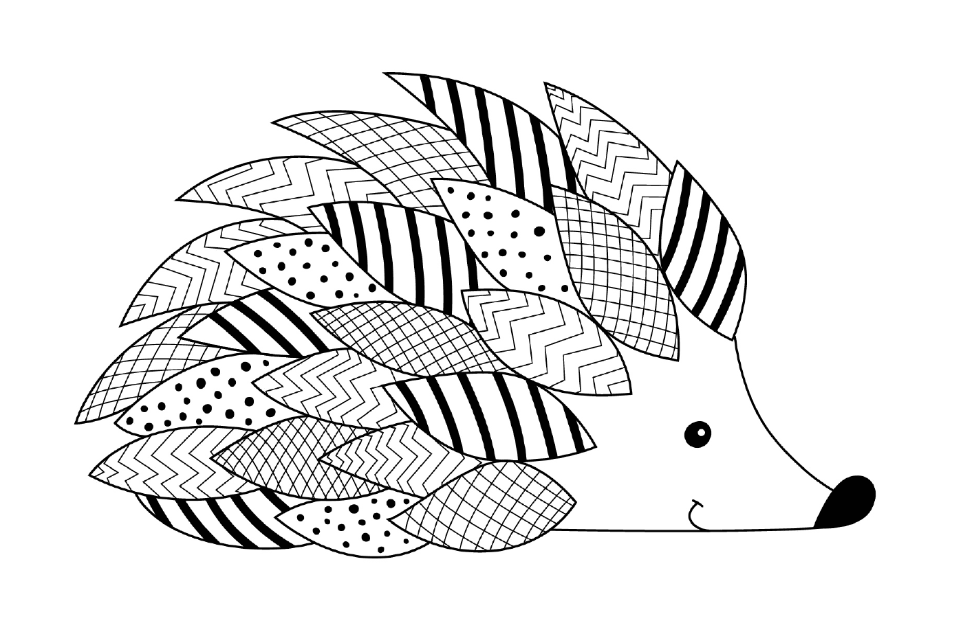  Hedgehog com muitos padrões 