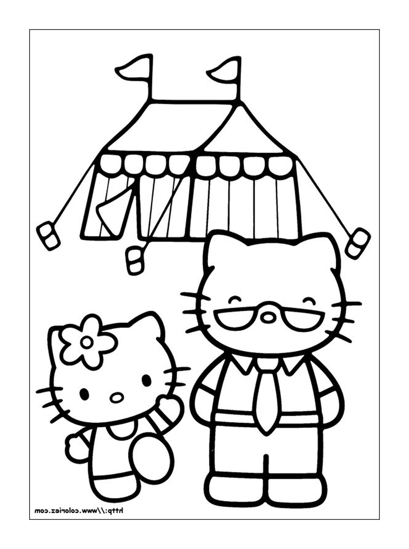  Hello Kitty e um gato 