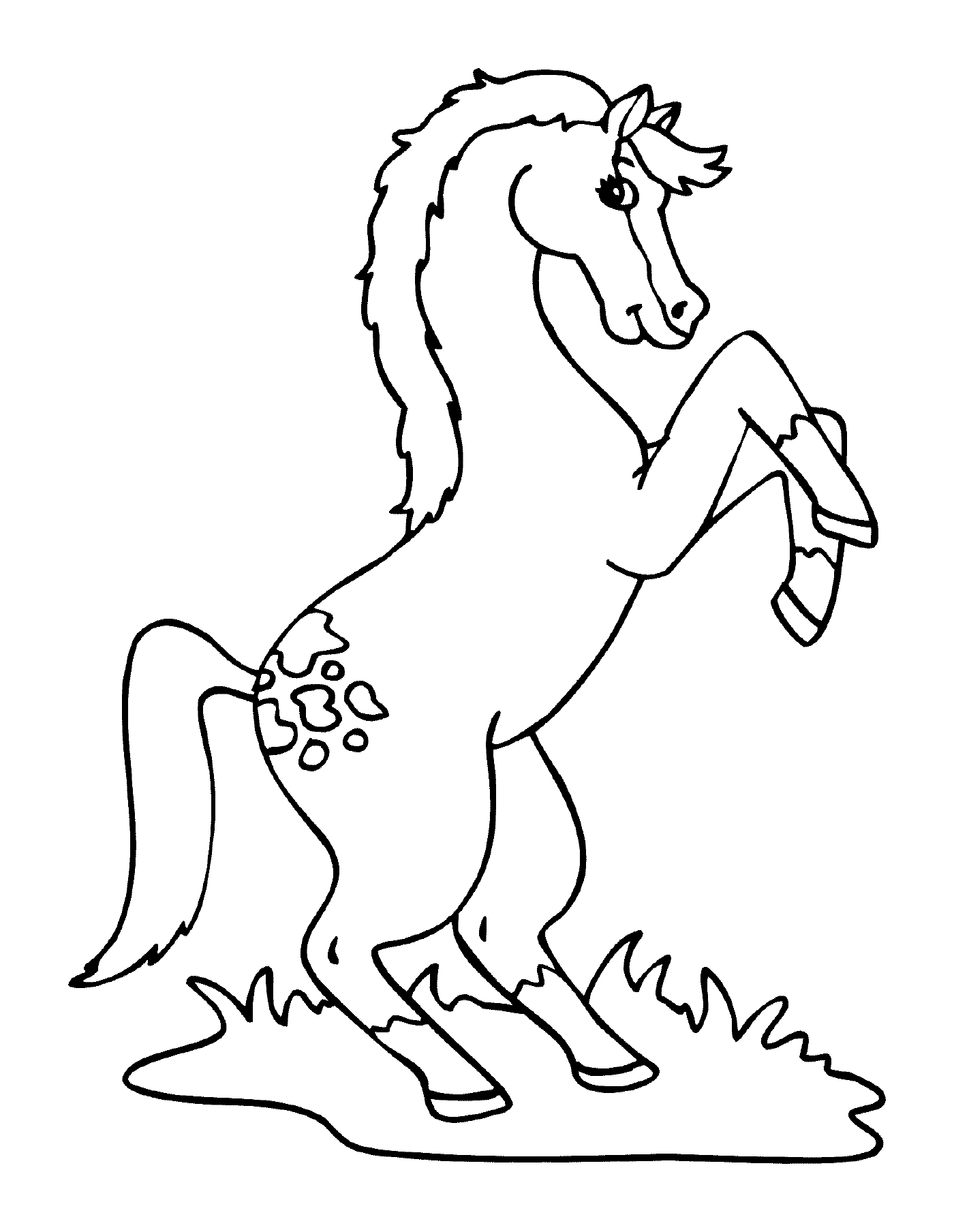  Cavalo no prado 