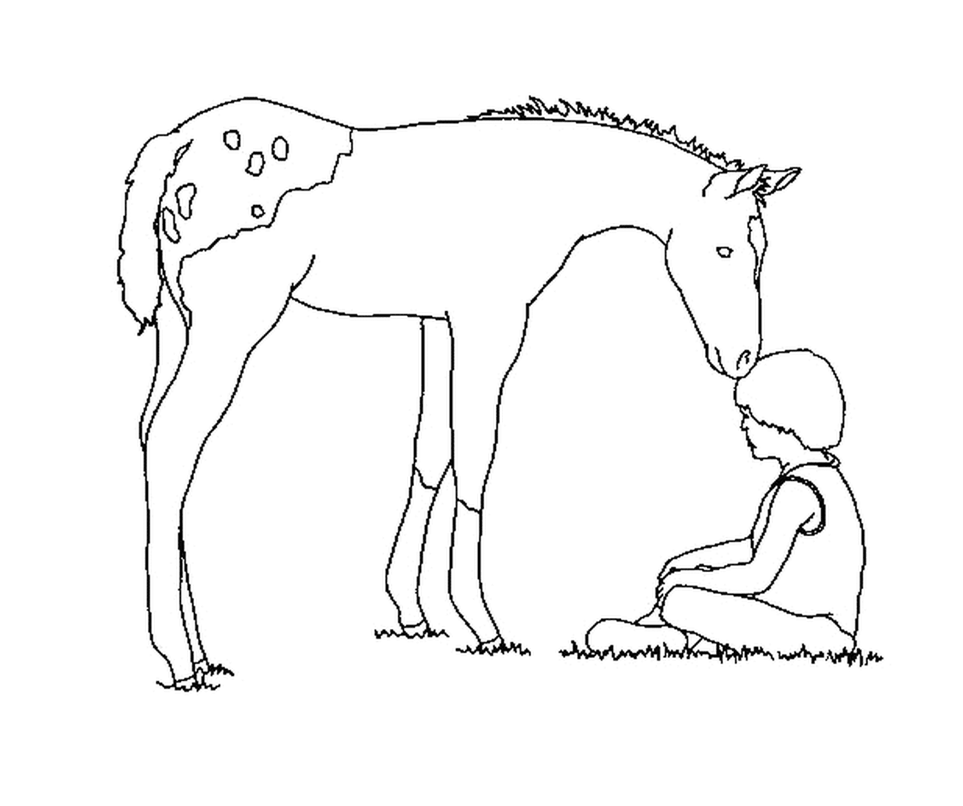  Cavalo elegante manchado com seu pequeno potro 
