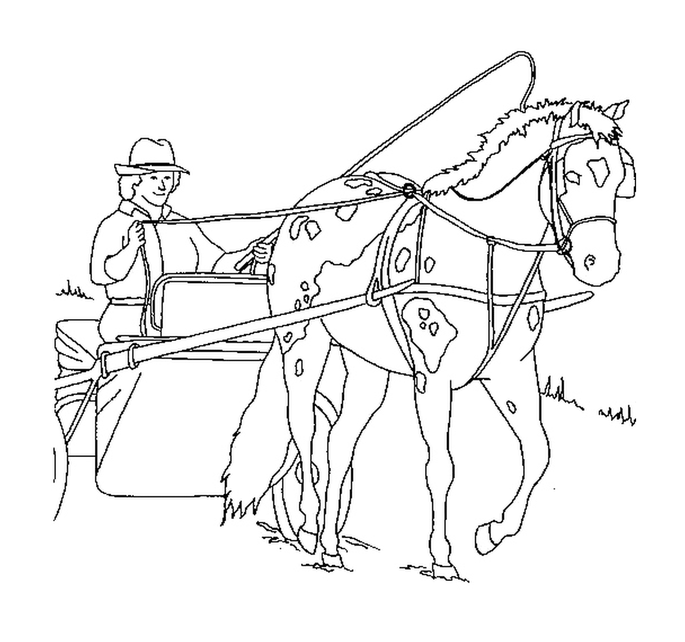  Cavalo puxando uma carruagem com elegância 