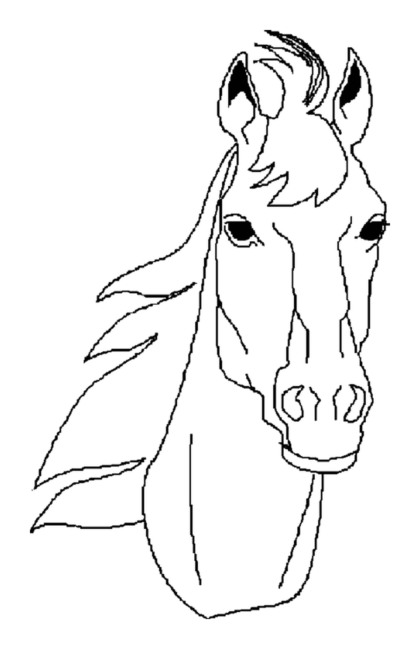  Retrato de uma cabeça de cavalo 