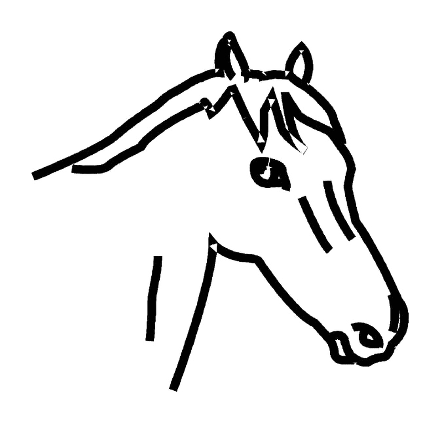  A imponente cabeça de um cavalo 