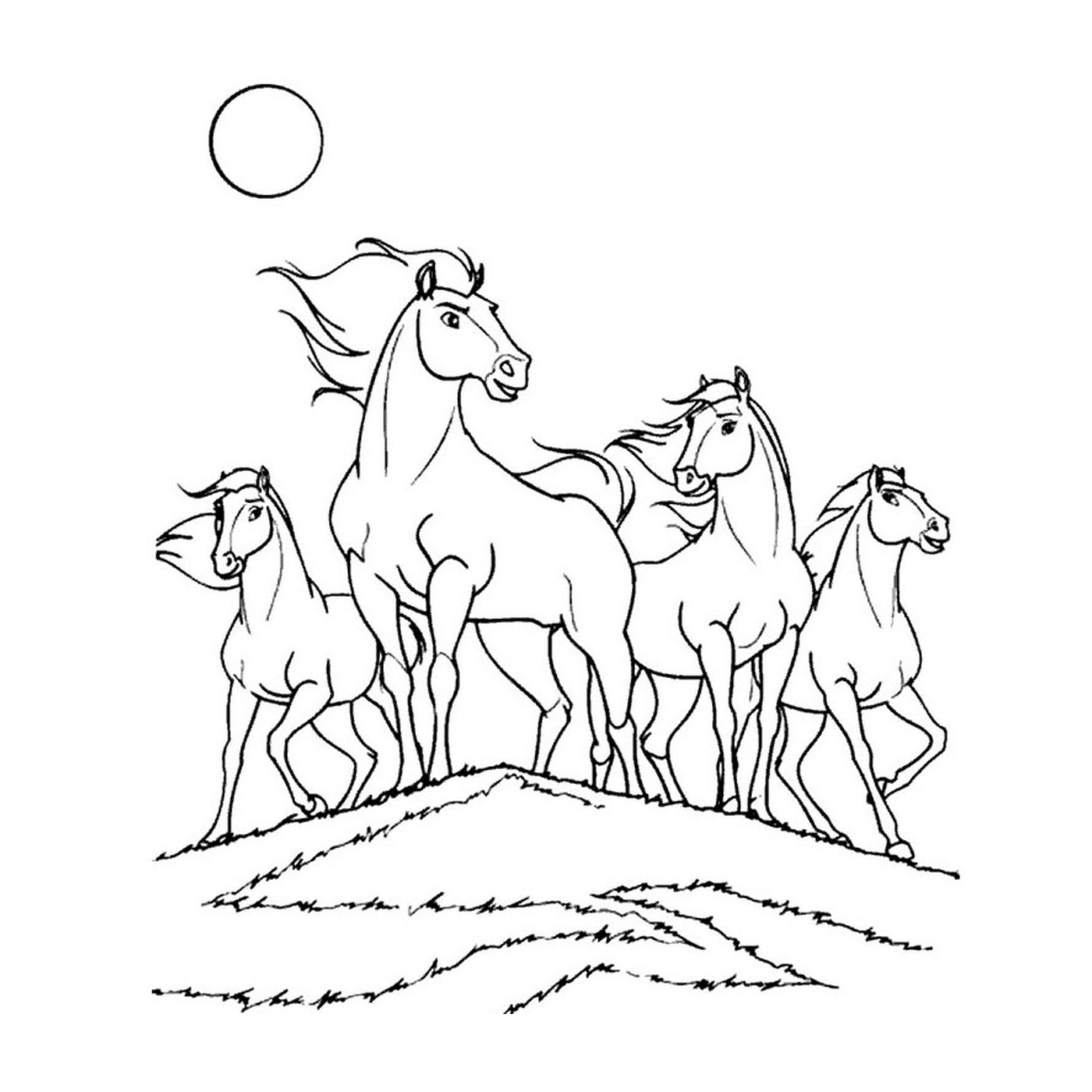  Grupo de cavalos em pé em uma colina gramada 