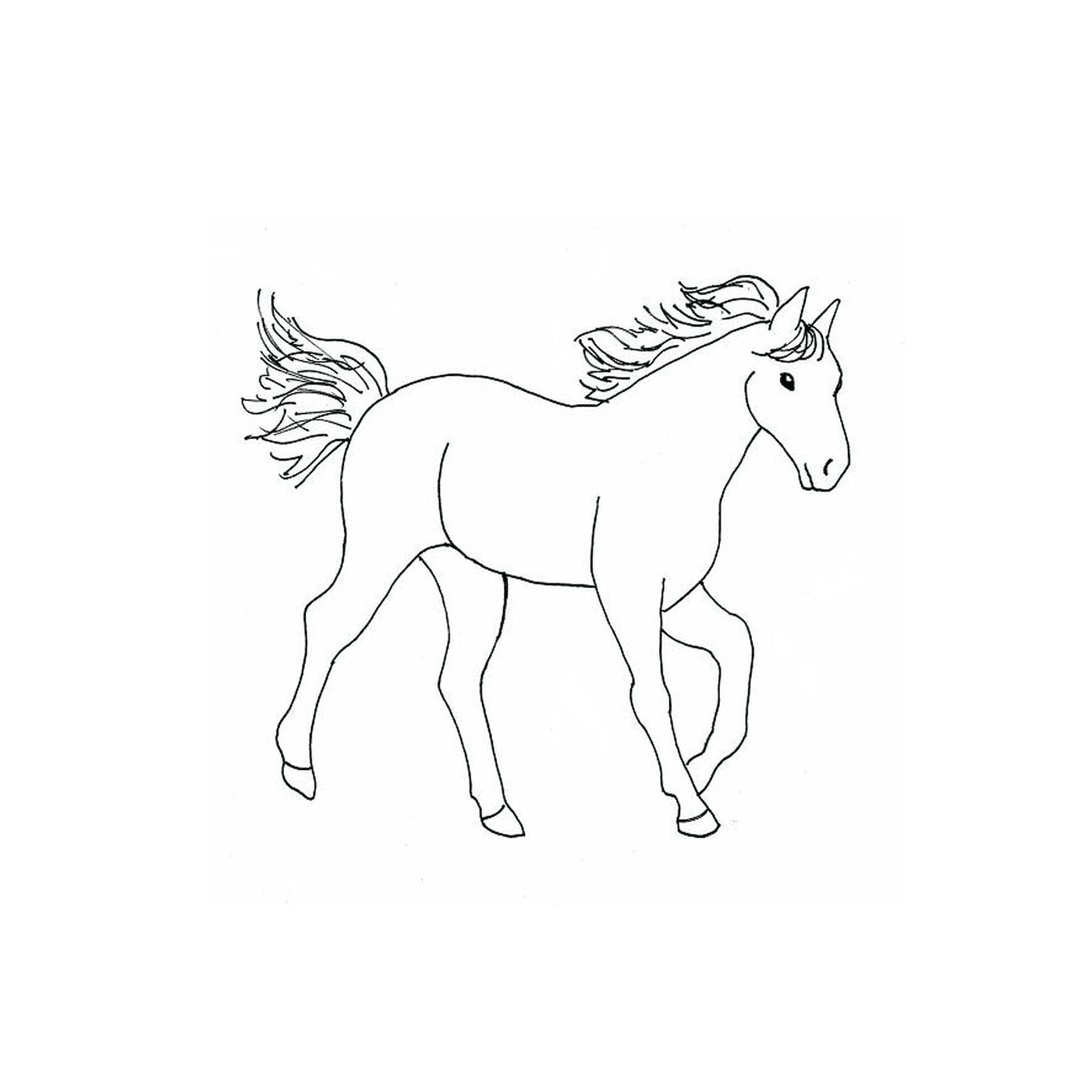  Cavalo de estilo ocidental com uma juba exuberante 