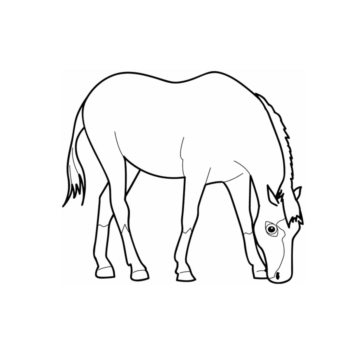  nico Cavalo - A Browsing Horse 