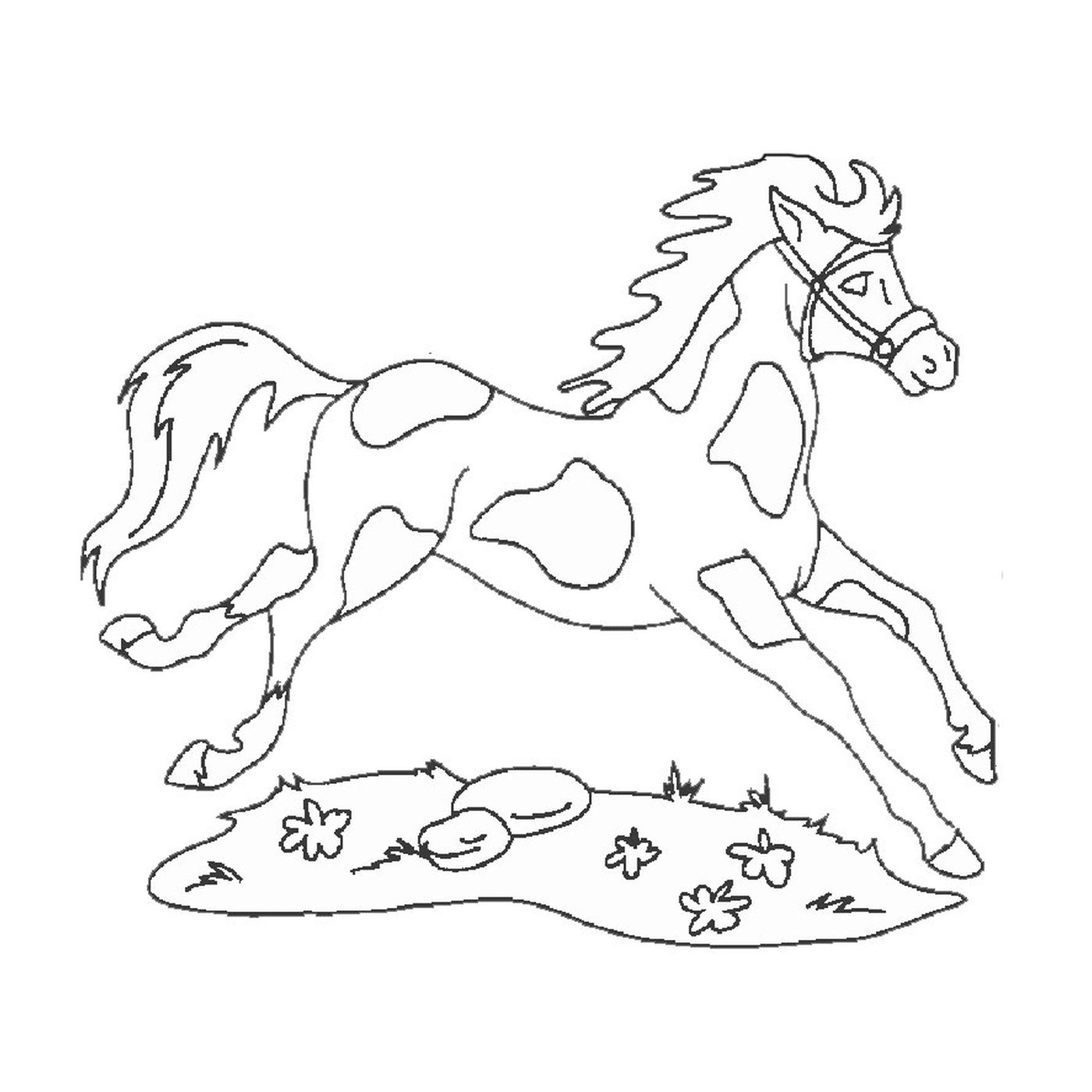  Cavalo e cão - Um cavalo correndo 