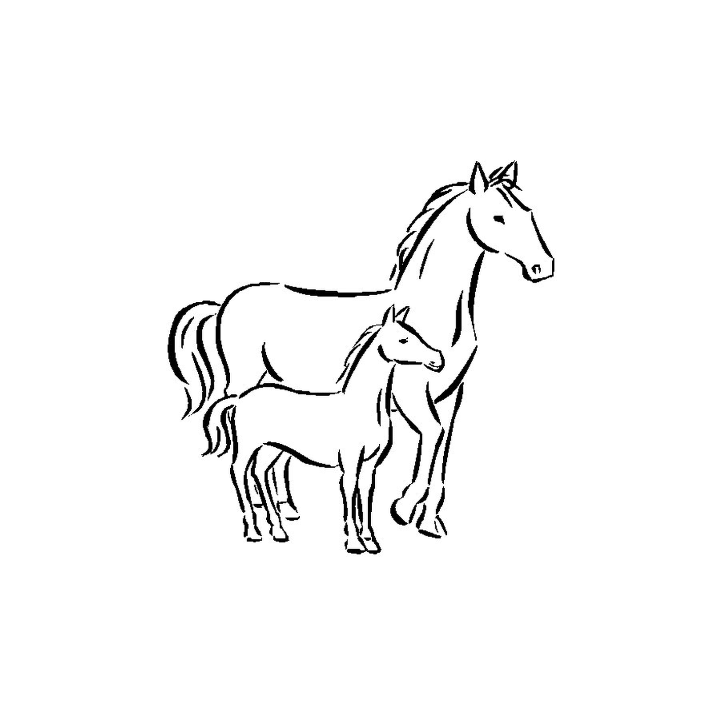  Cavalos - Um cavalo e um potro de pé lado a lado 