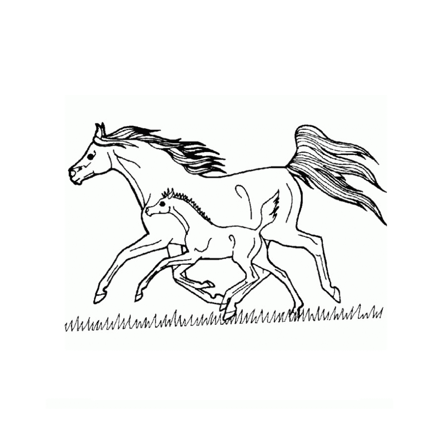  galope grande cavalo - Um cavalo e um potro 