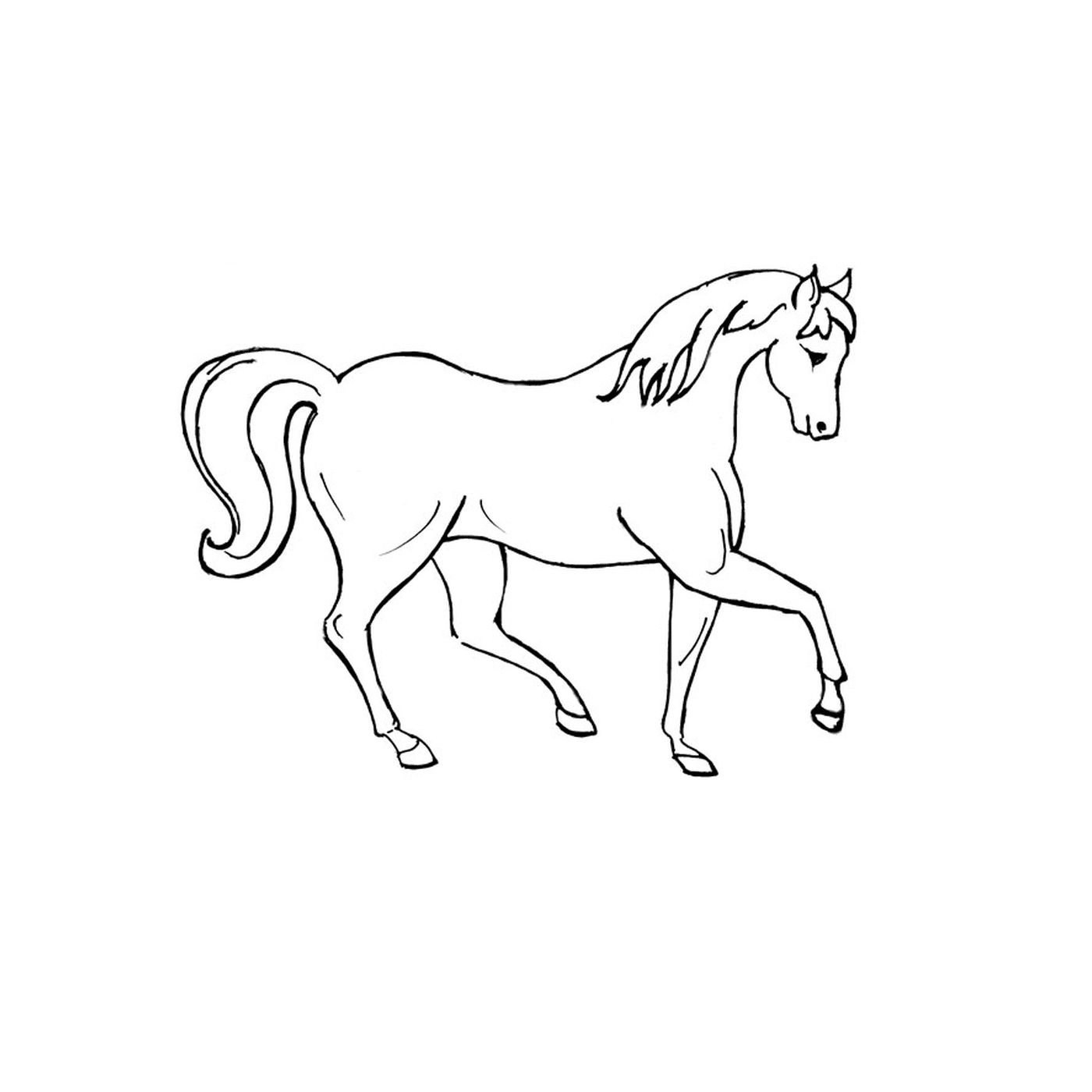  Cavalo Brac - Um cavalo branco com cabelos longos 