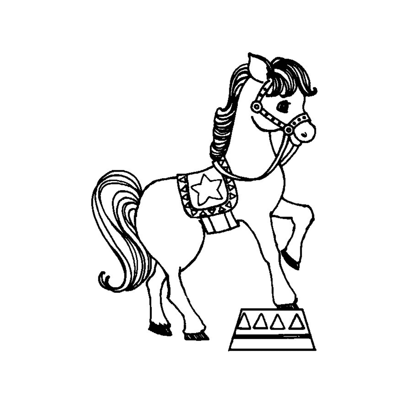  Cavalos de Circo - Um Cavalo 