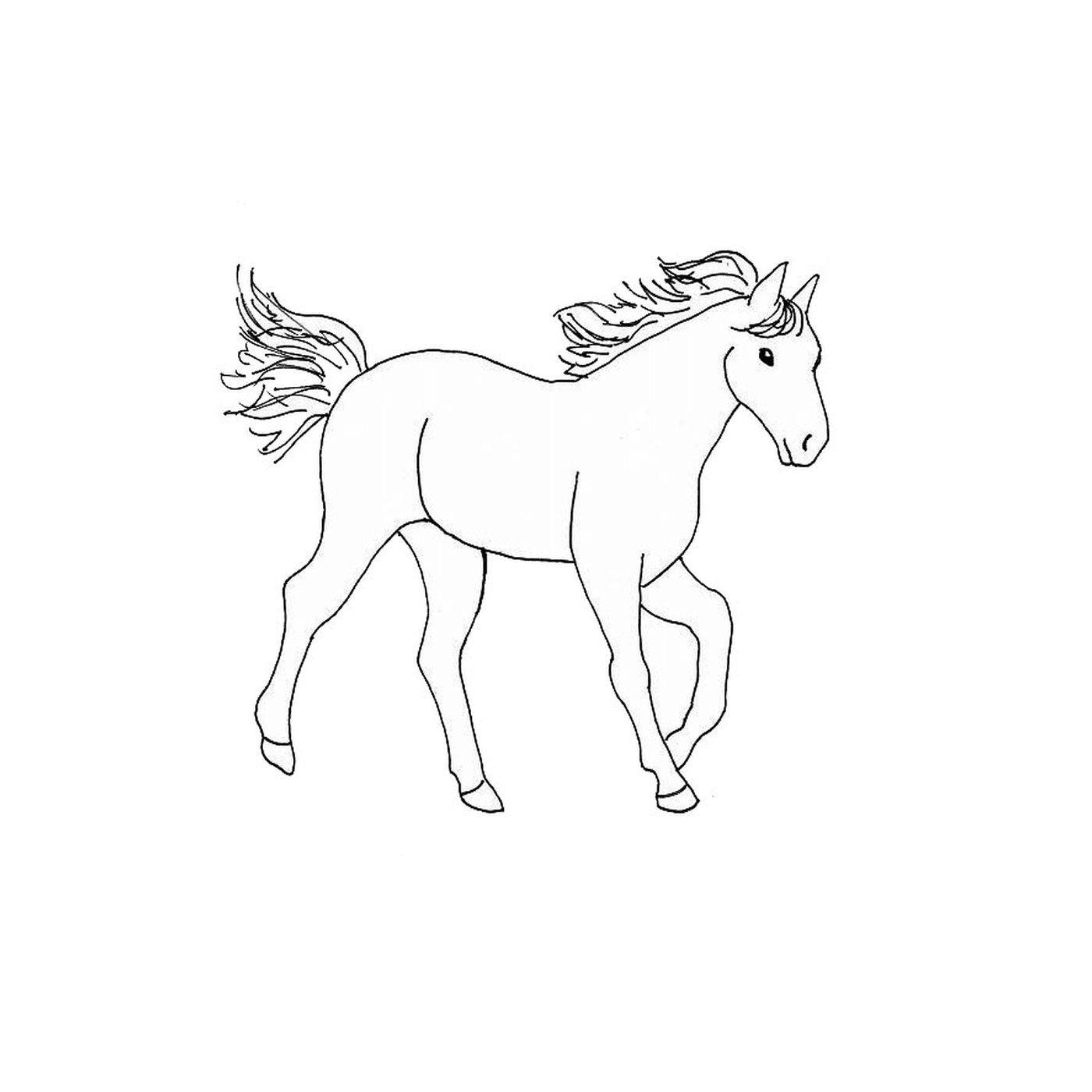  Um cavalo - Um cavalo 