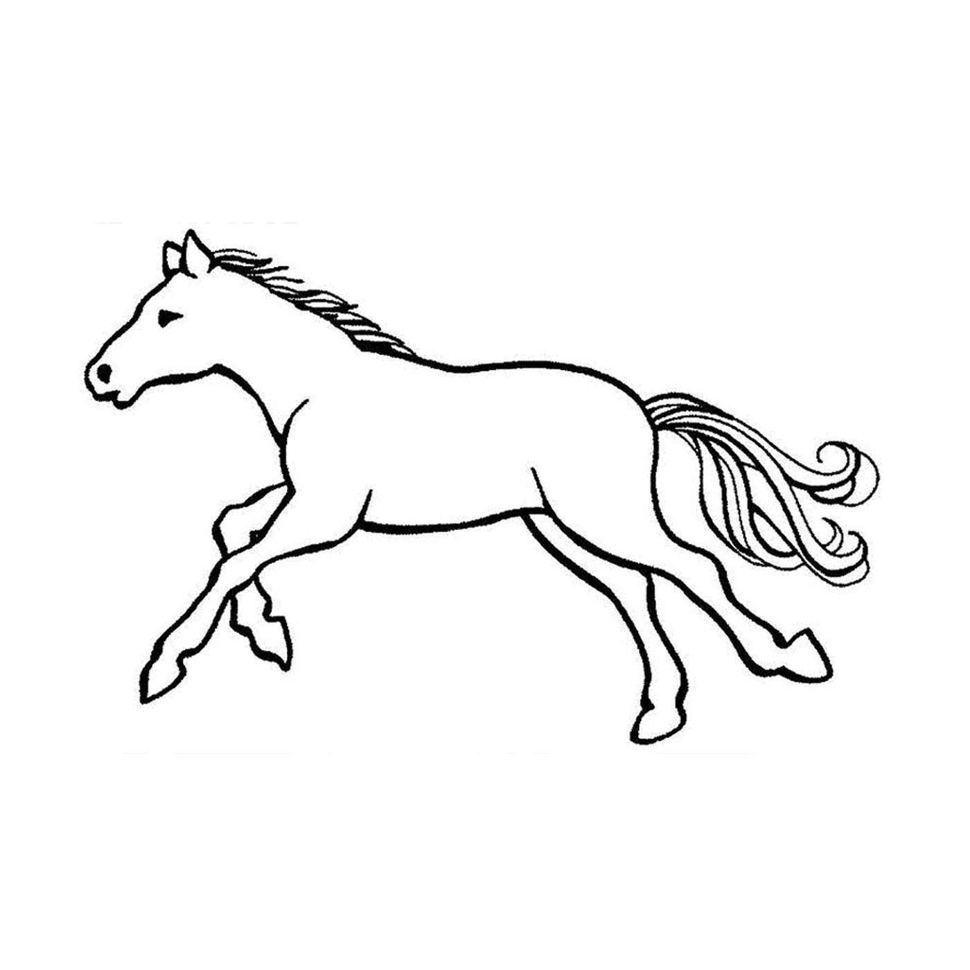  Cavalos com galope - Um cavalo correndo 