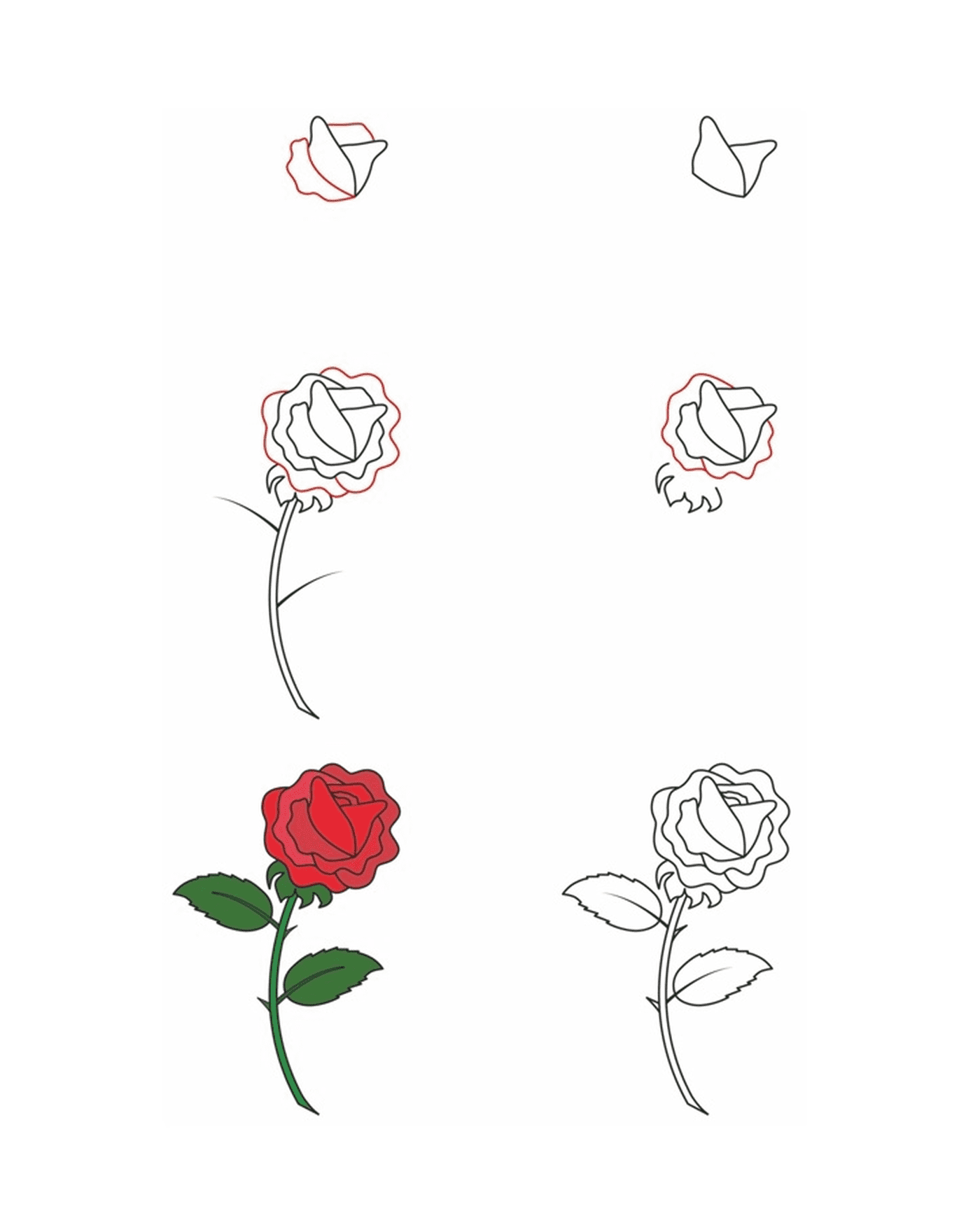  Como desenhar uma rosa 