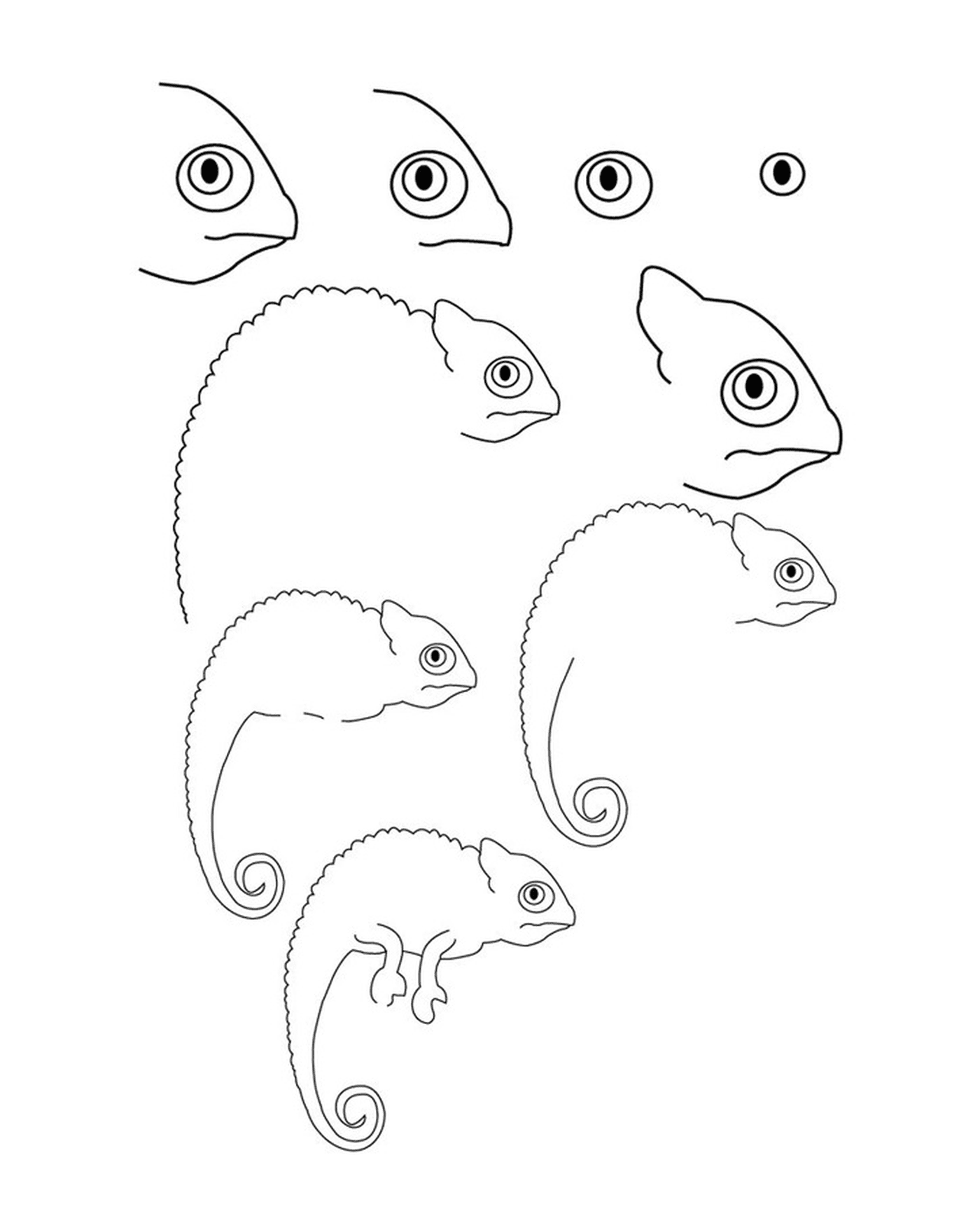 Como desenhar um camaleão 