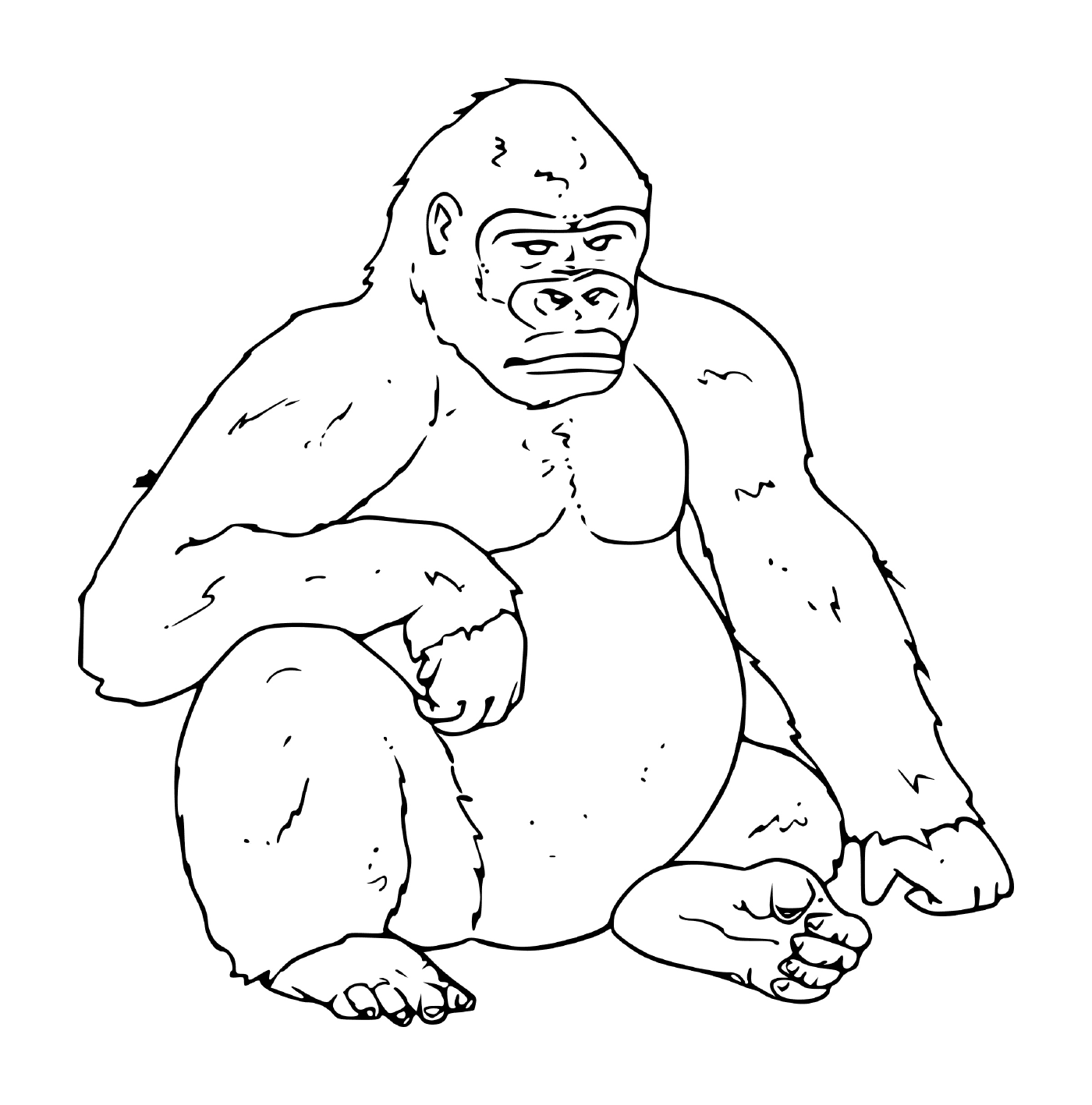  um gorila sentado no chão da selva 