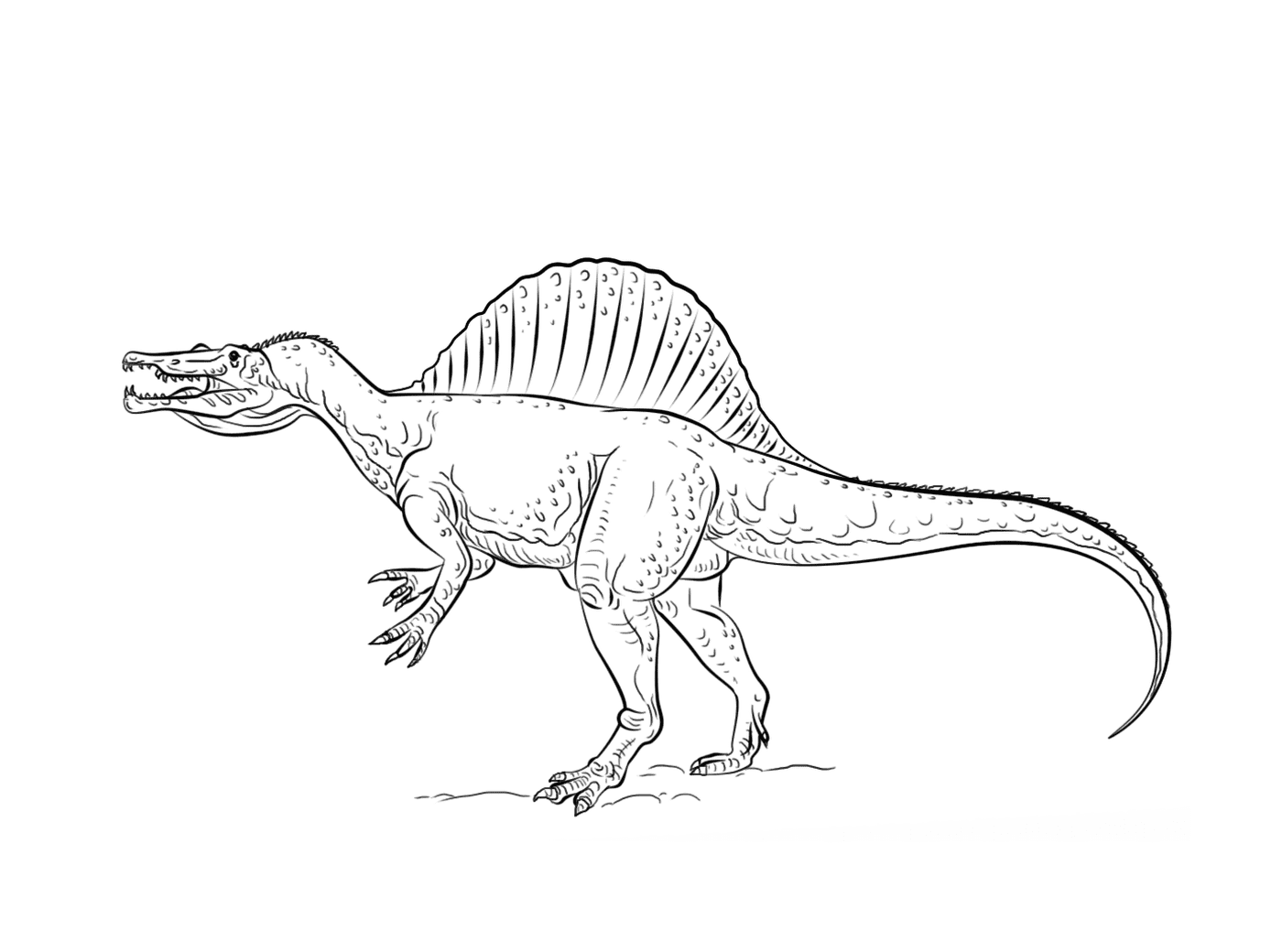  Spinosaurus, um dinossauro impressionante 