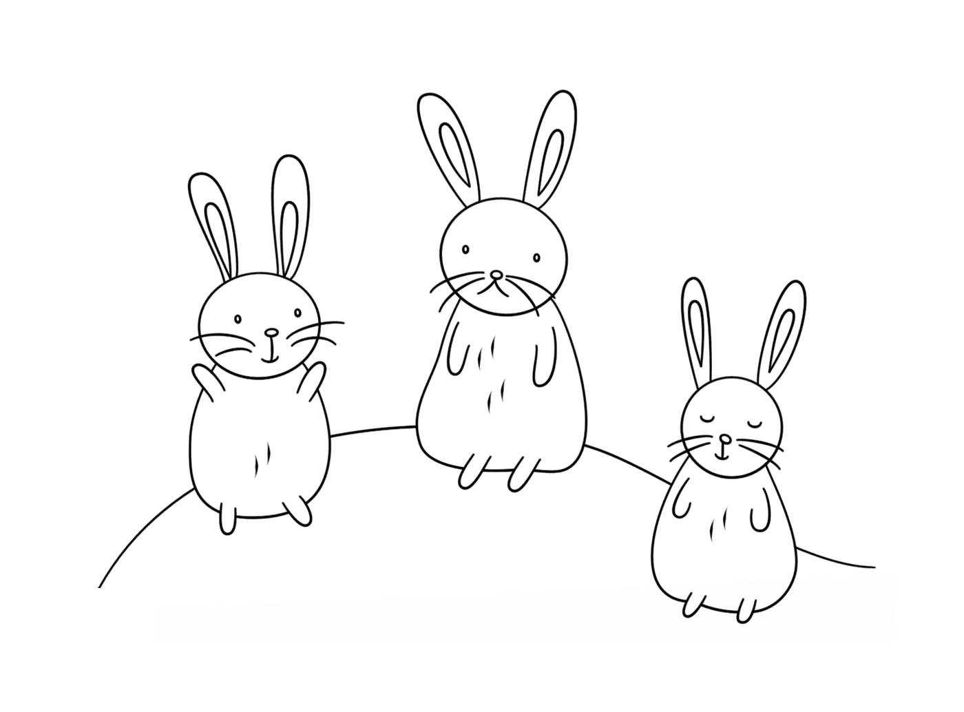  分组的可爱兔子 
