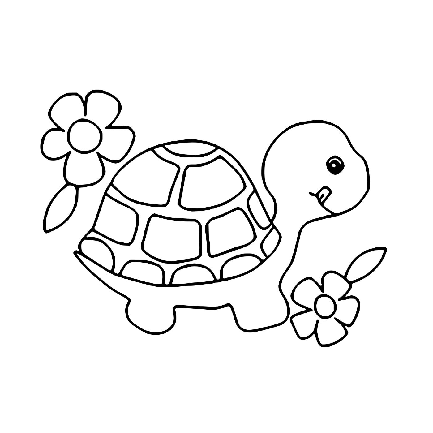  Uma tartaruga e flores 